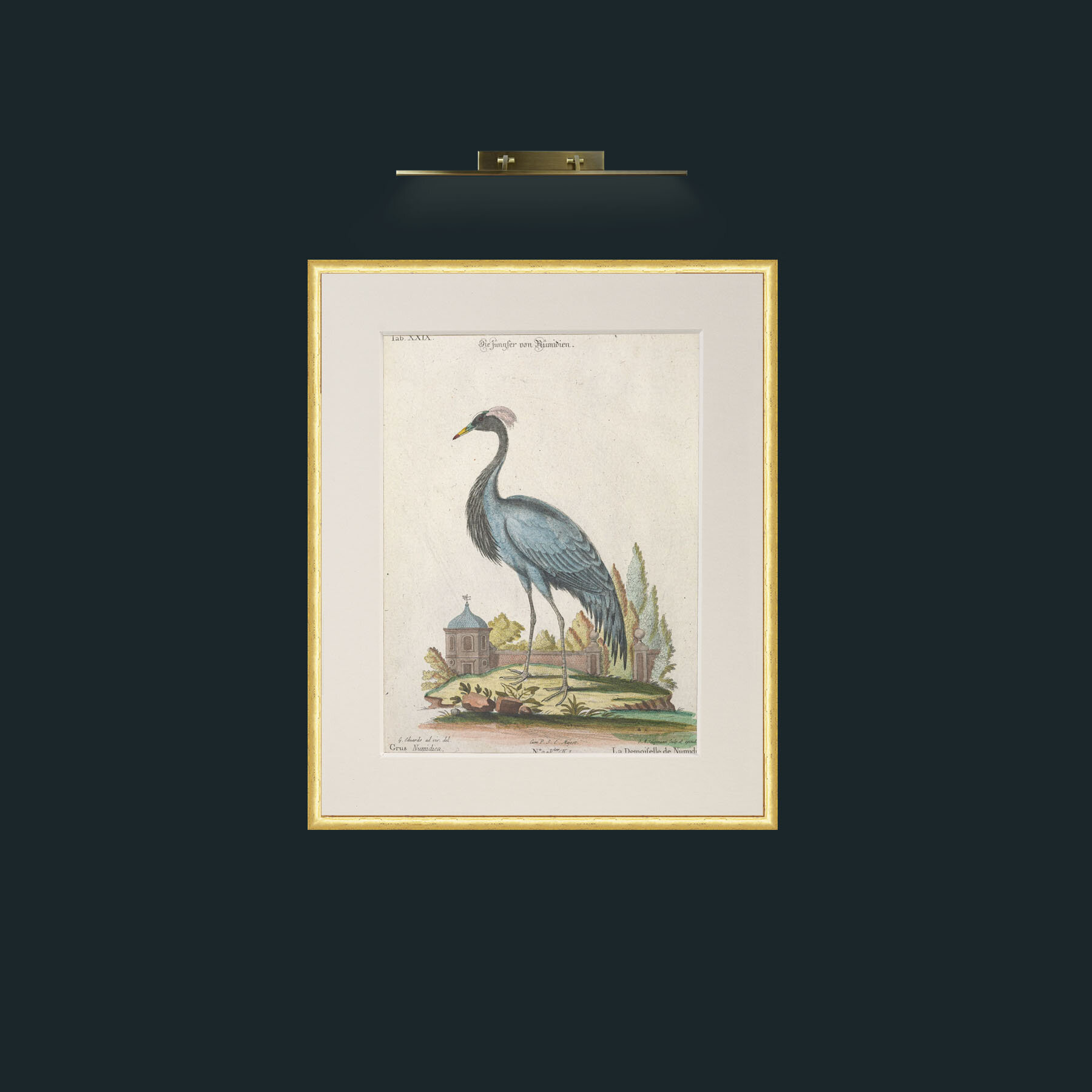 Art-Demoiselle Crane-Frame-3RoundedGilt-Mount-1Antique.jpg