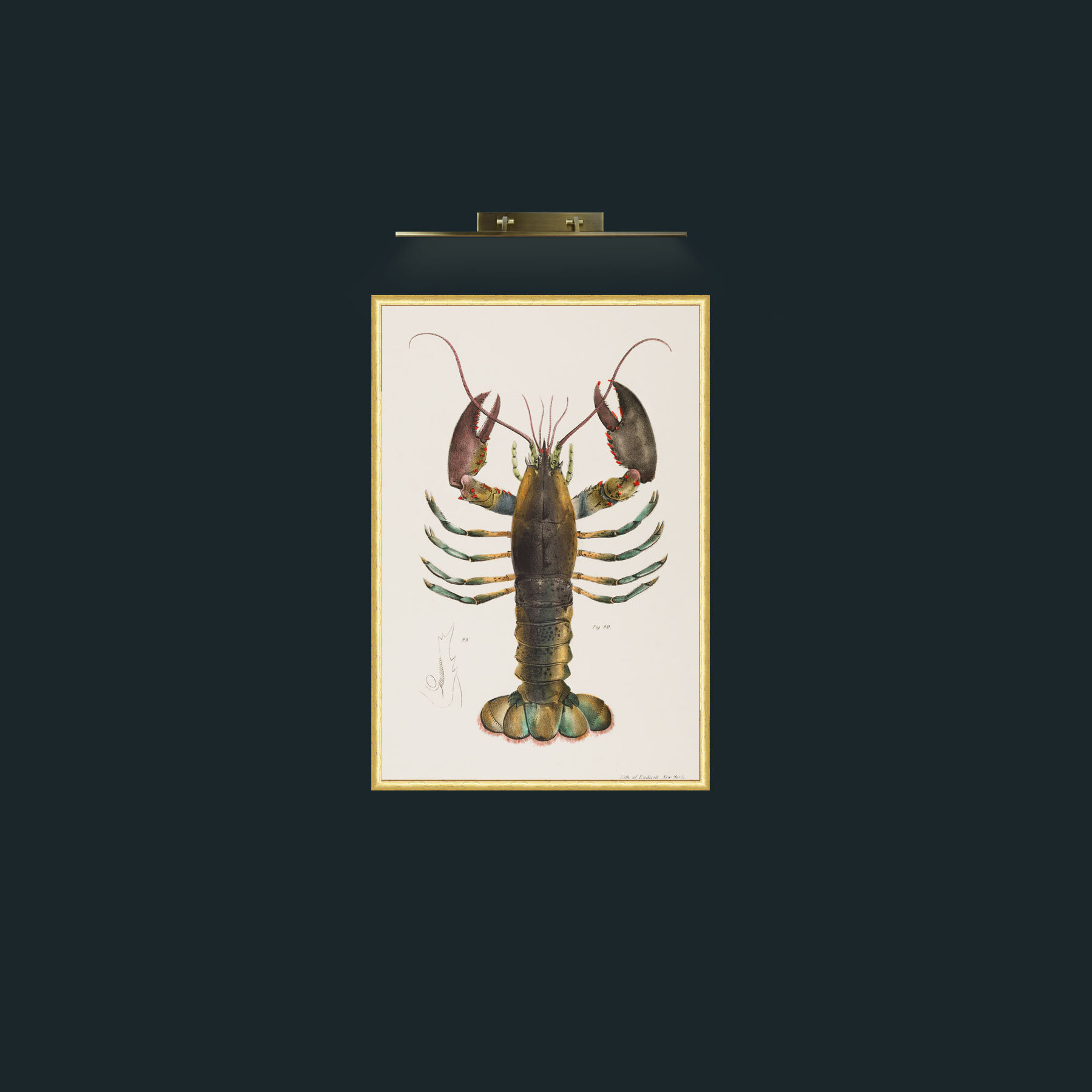 Art-American Lobster-Frame-3RoundedGilt.jpg