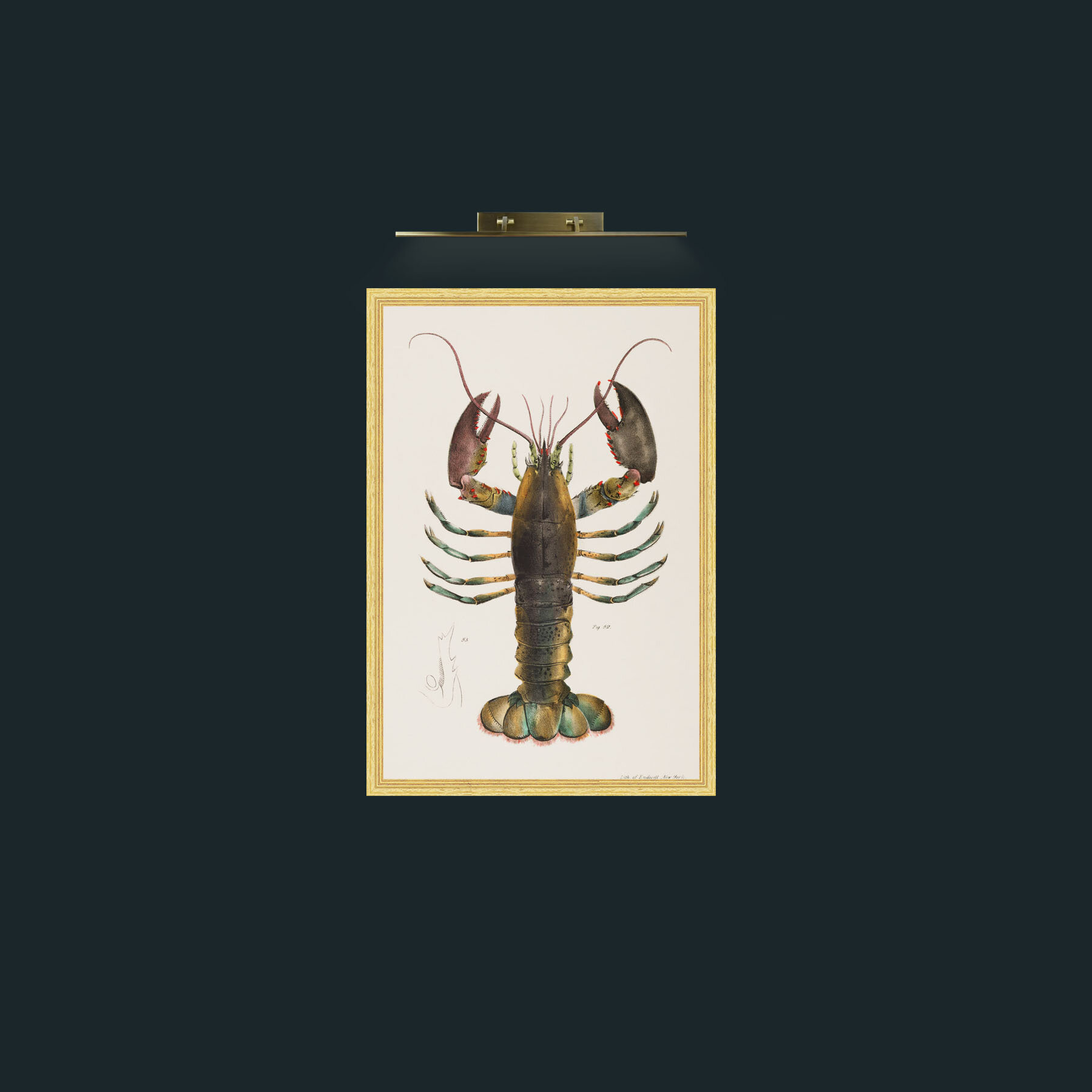 Art-American Lobster-Frame-4BevelledGilt.jpg