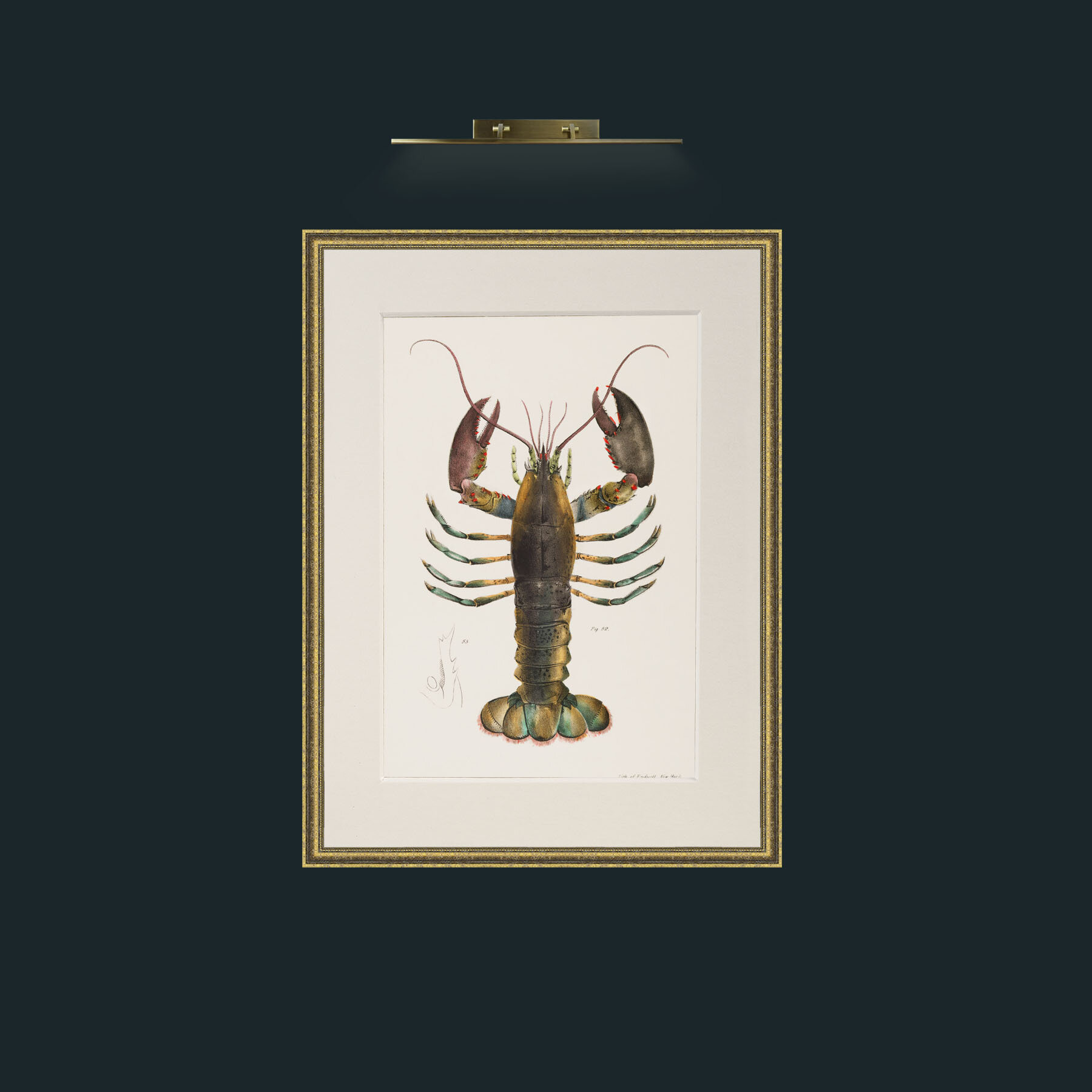 Art-American Lobster.jpg-Frame-1TexturedGilt-Mount-1Antique.jpg