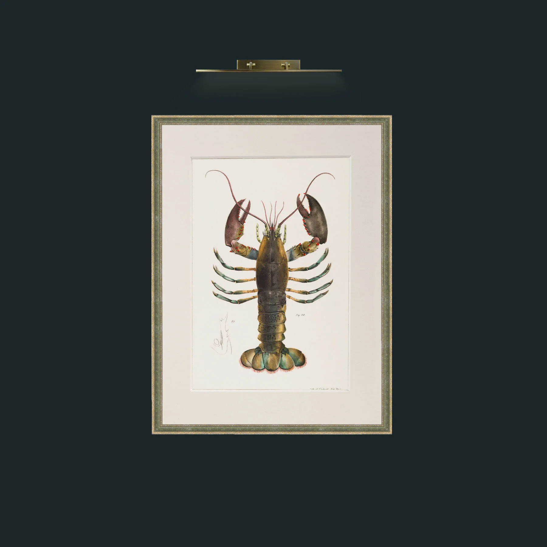 Art-American Lobster.jpg-Frame-2GreenGiltTextured-Mount-1Antique.jpg