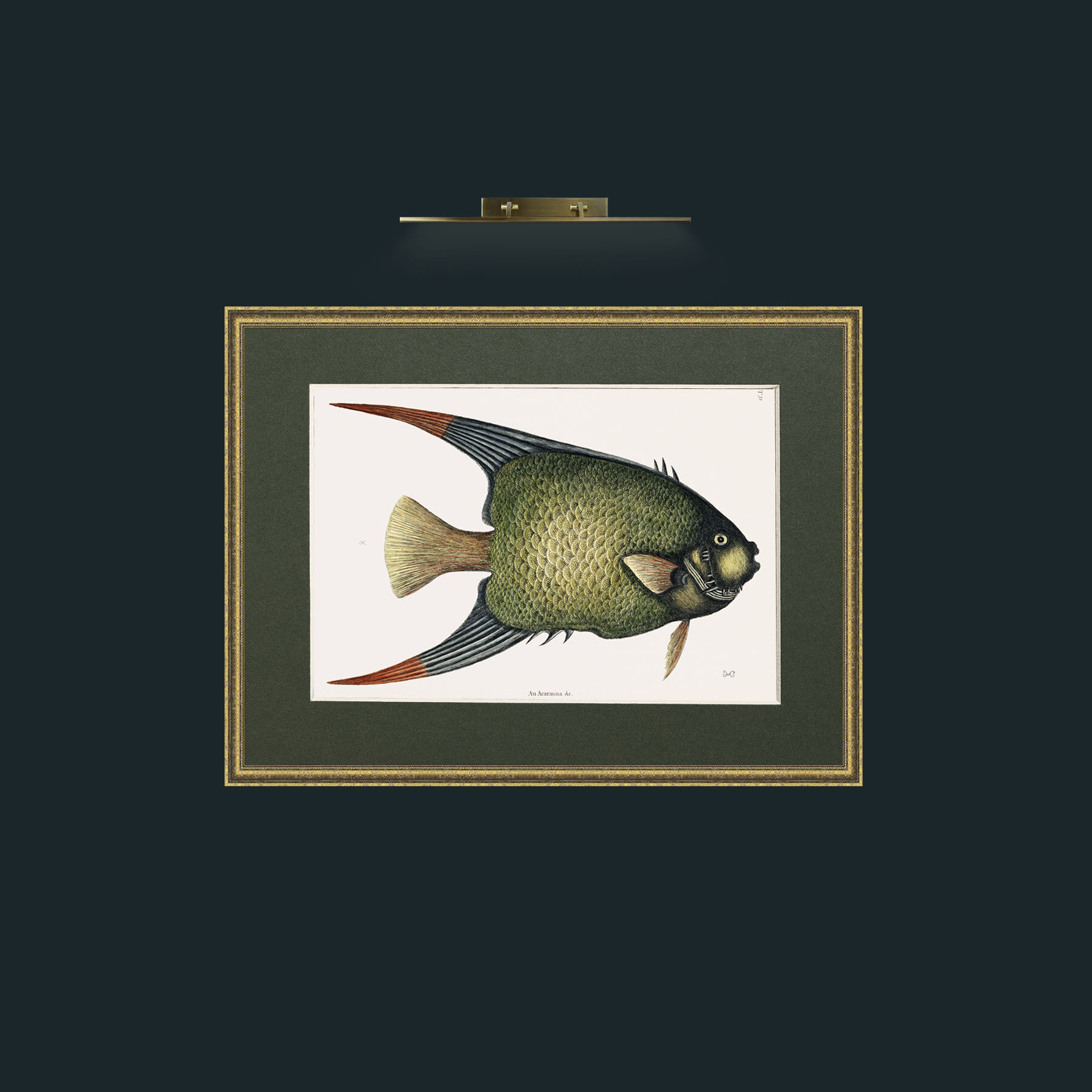 Art-Angel Fish-Frame-1TexturedGilt-Mount-2Green.jpg