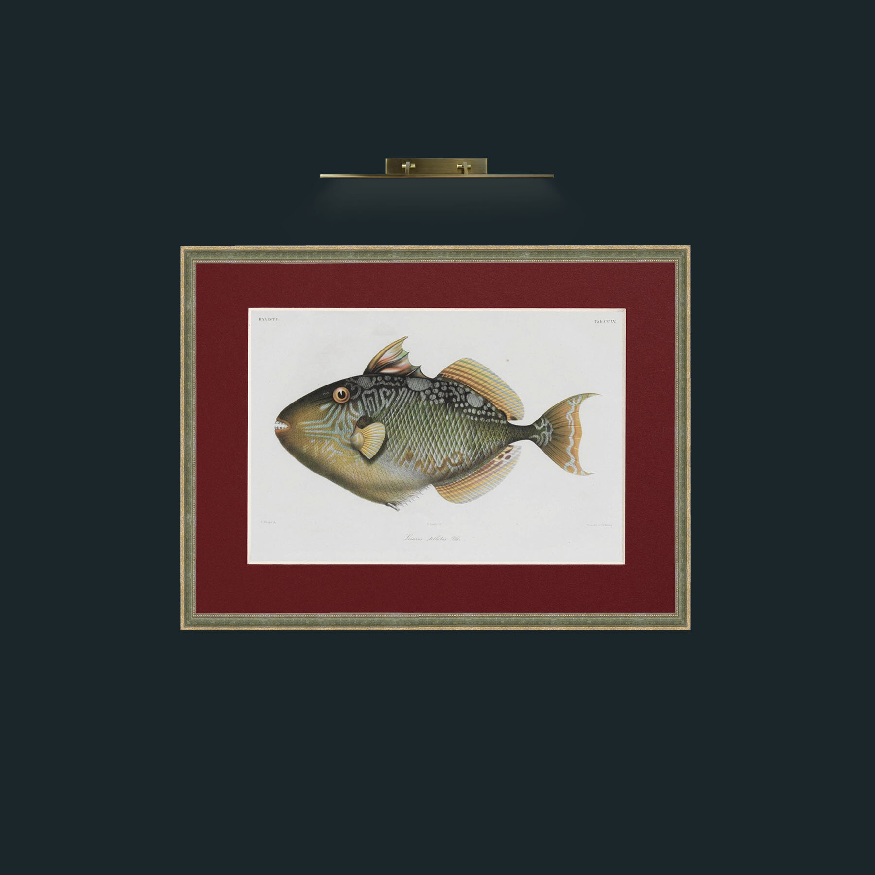 Art-Balist 1-Frame-2GreenGiltTextured-Mount-4Red.jpg