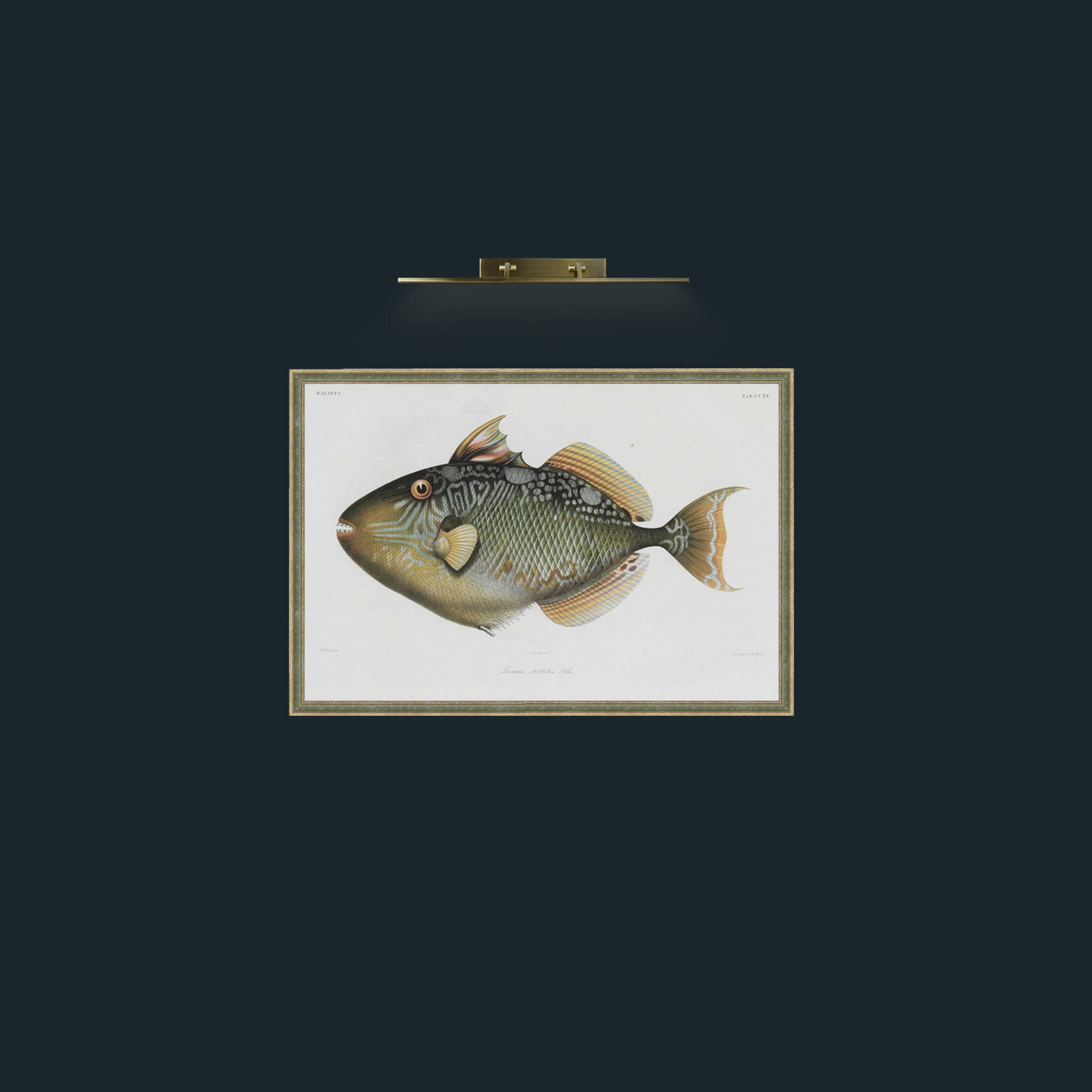 Art-Balist 1-Frame-2GreenGiltTextured.jpg