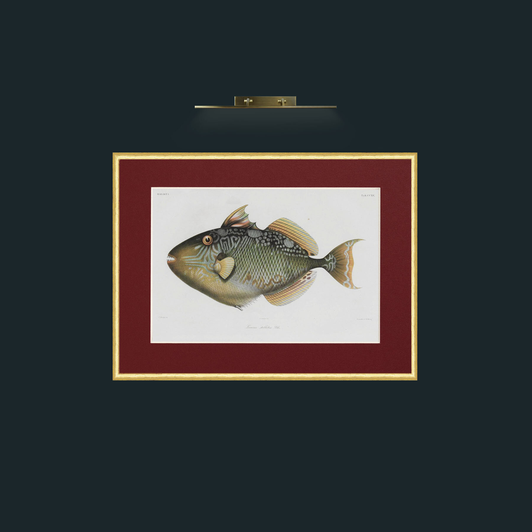 Art-Balist 1-Frame-3RoundedGilt-Mount-4Red.jpg