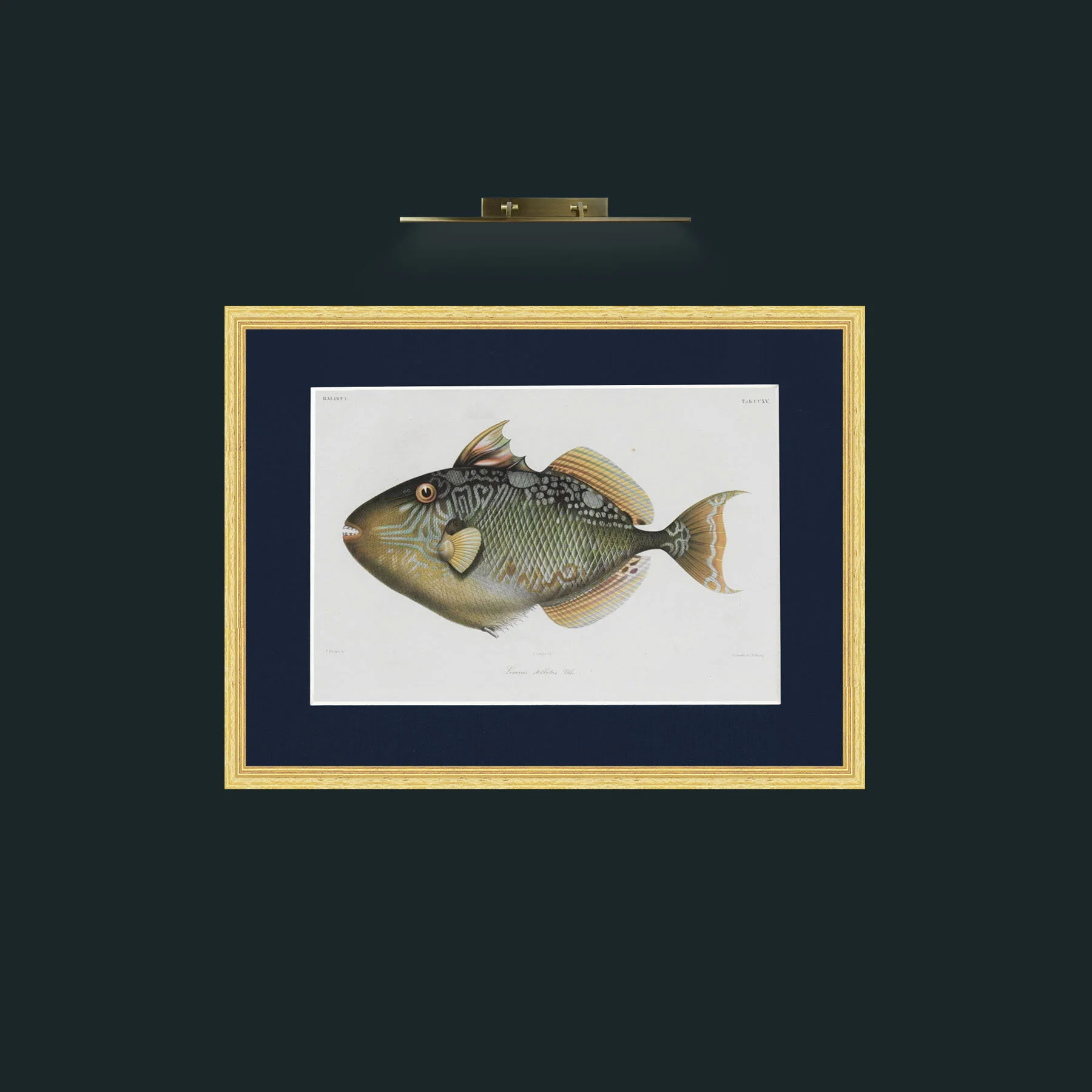 Art-Balist 1-Frame-4BevelledGilt-Mount-3Blue.jpg
