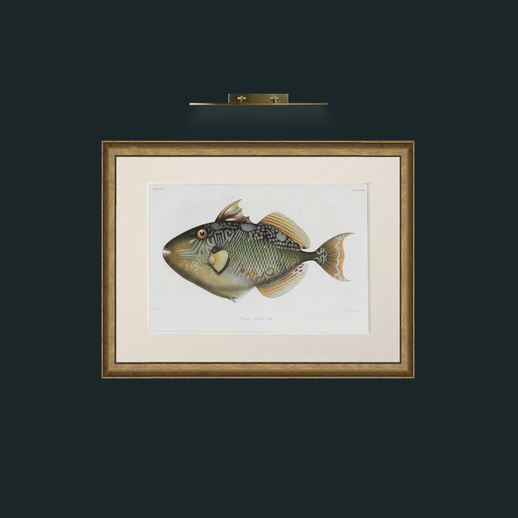 Art-Balist 1-Frame-8AntiqueRedGoldGilt-Mount-1Antique.jpg