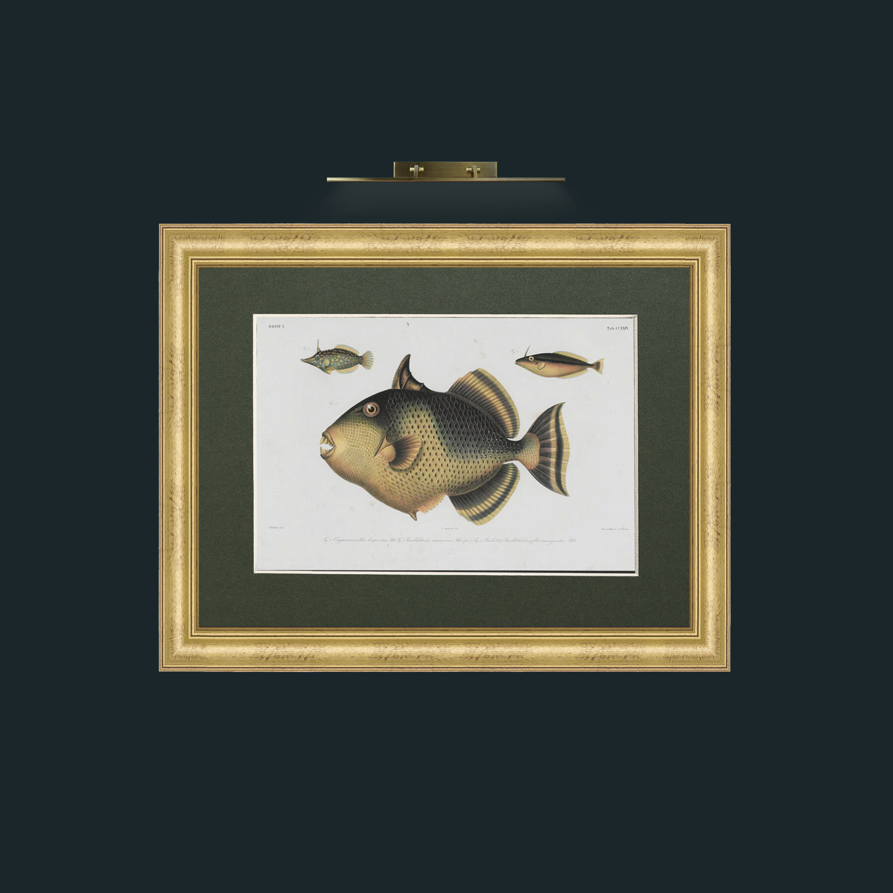 Art-Balist X-Frame-9WideGilt-Mount-2Green.jpg