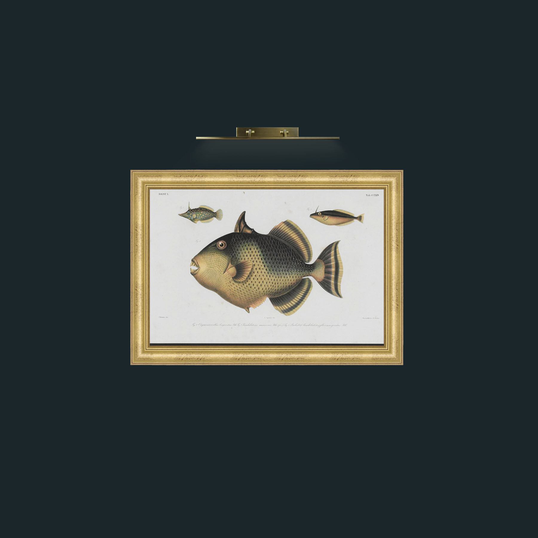 Art-Balist X-Frame-9WideGilt.jpg