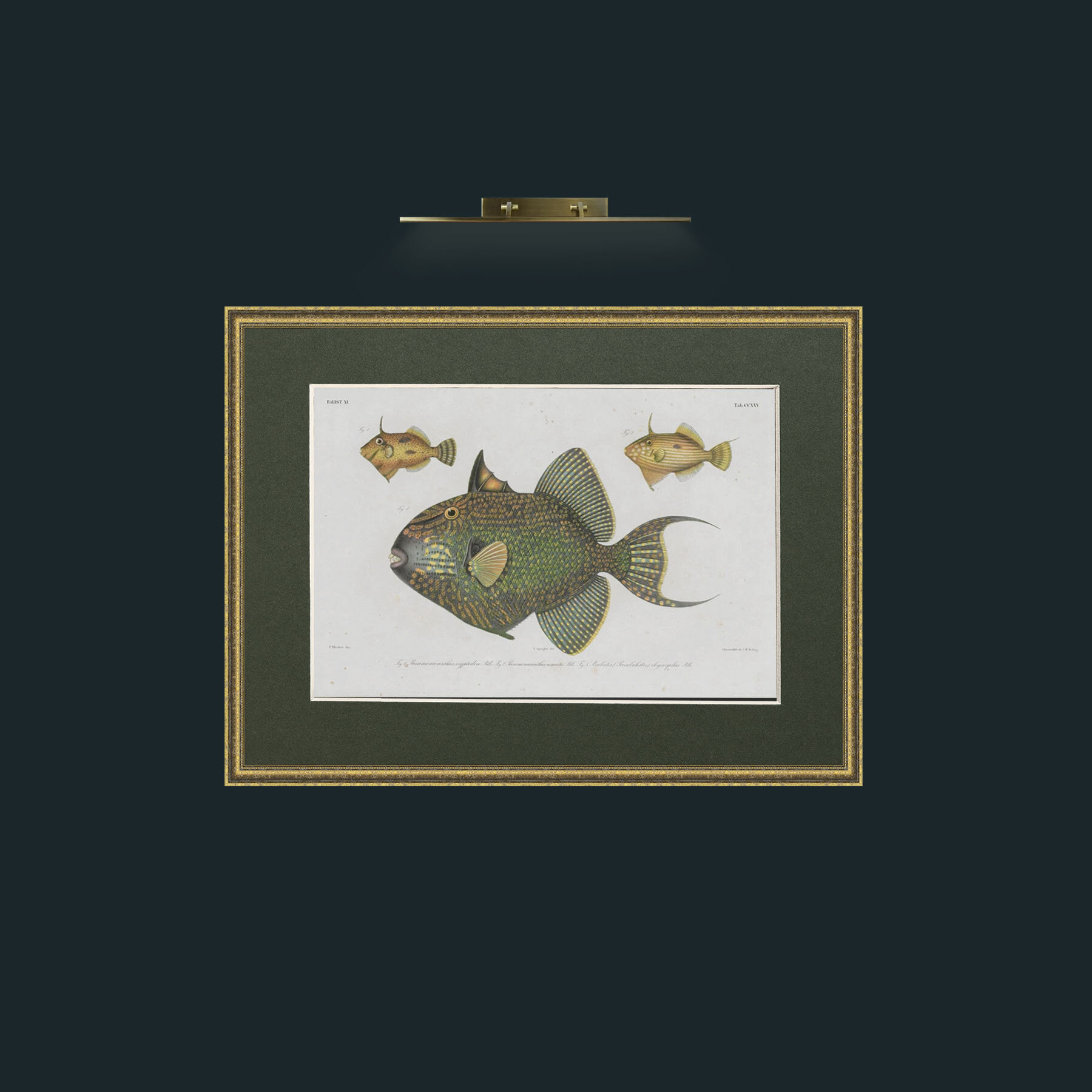 Art-Balist XI-Frame-1TexturedGilt-Mount-2Green.jpg
