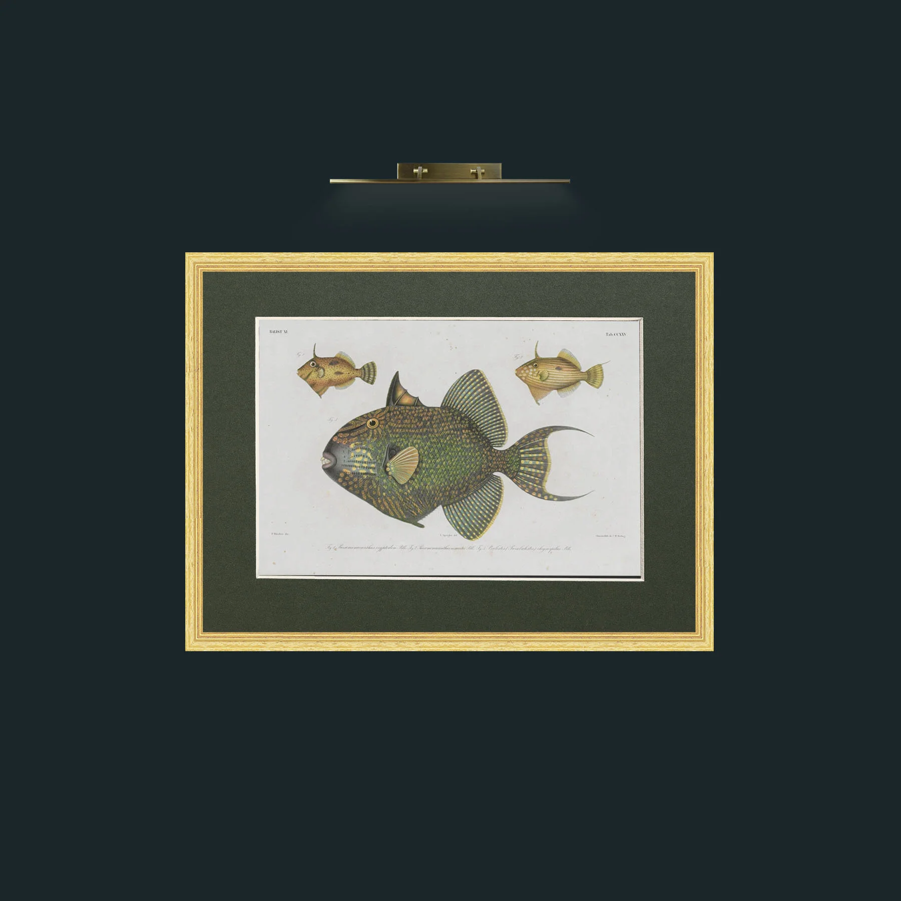 Art-Balist XI-Frame-4BevelledGilt-Mount-2Green.jpg