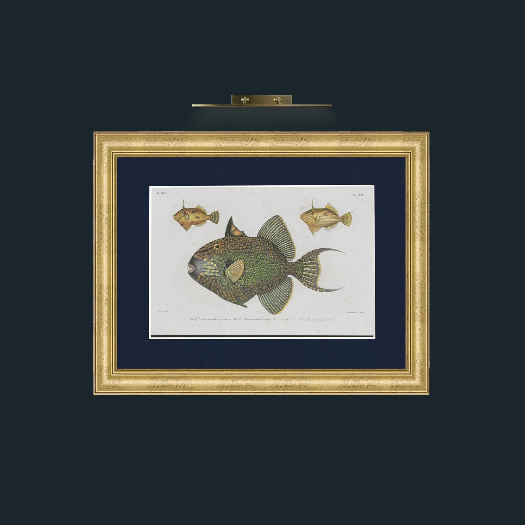 Art-Balist XI-Frame-9WideGilt-Mount-3Blue.jpg