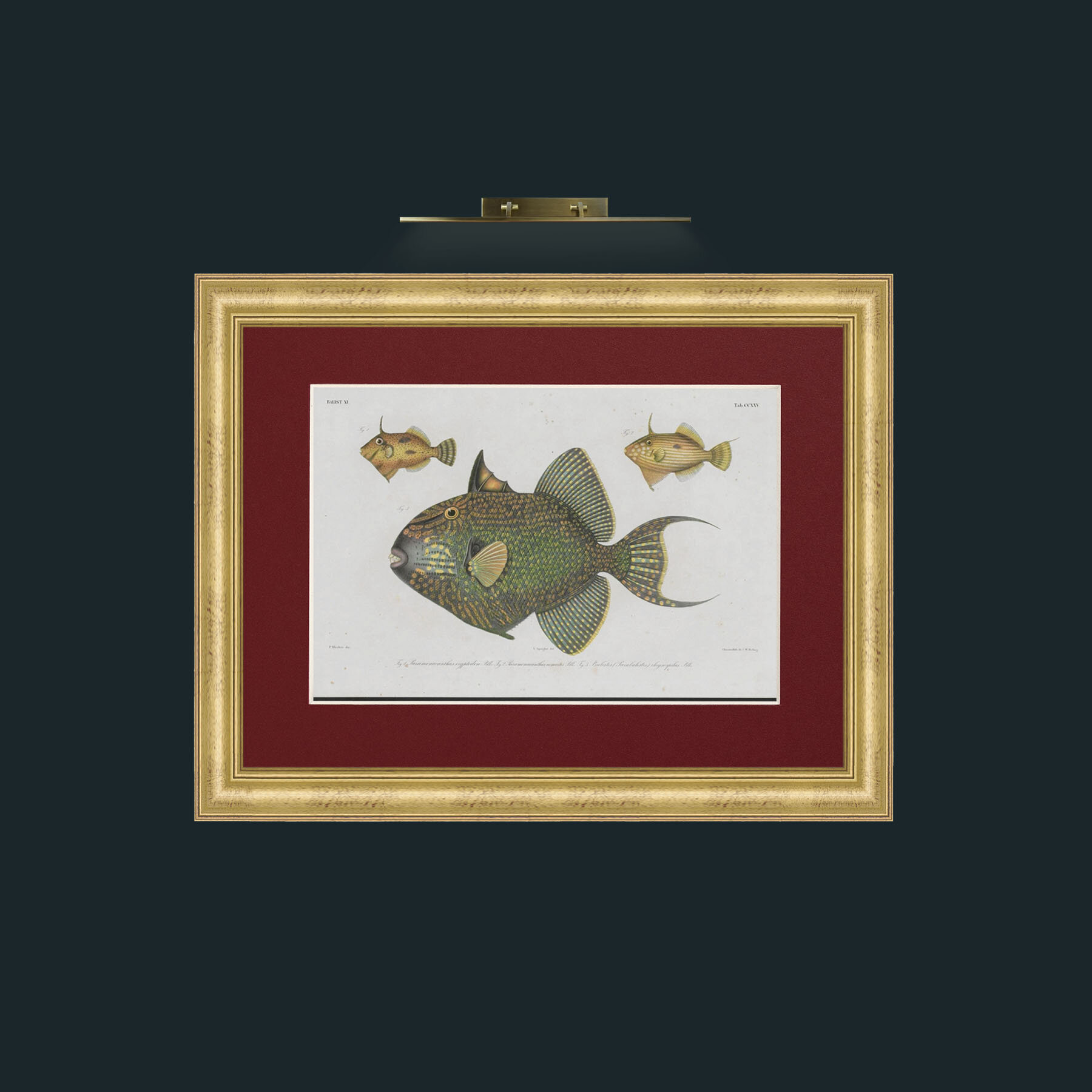 Art-Balist XI-Frame-9WideGilt-Mount-4Red.jpg