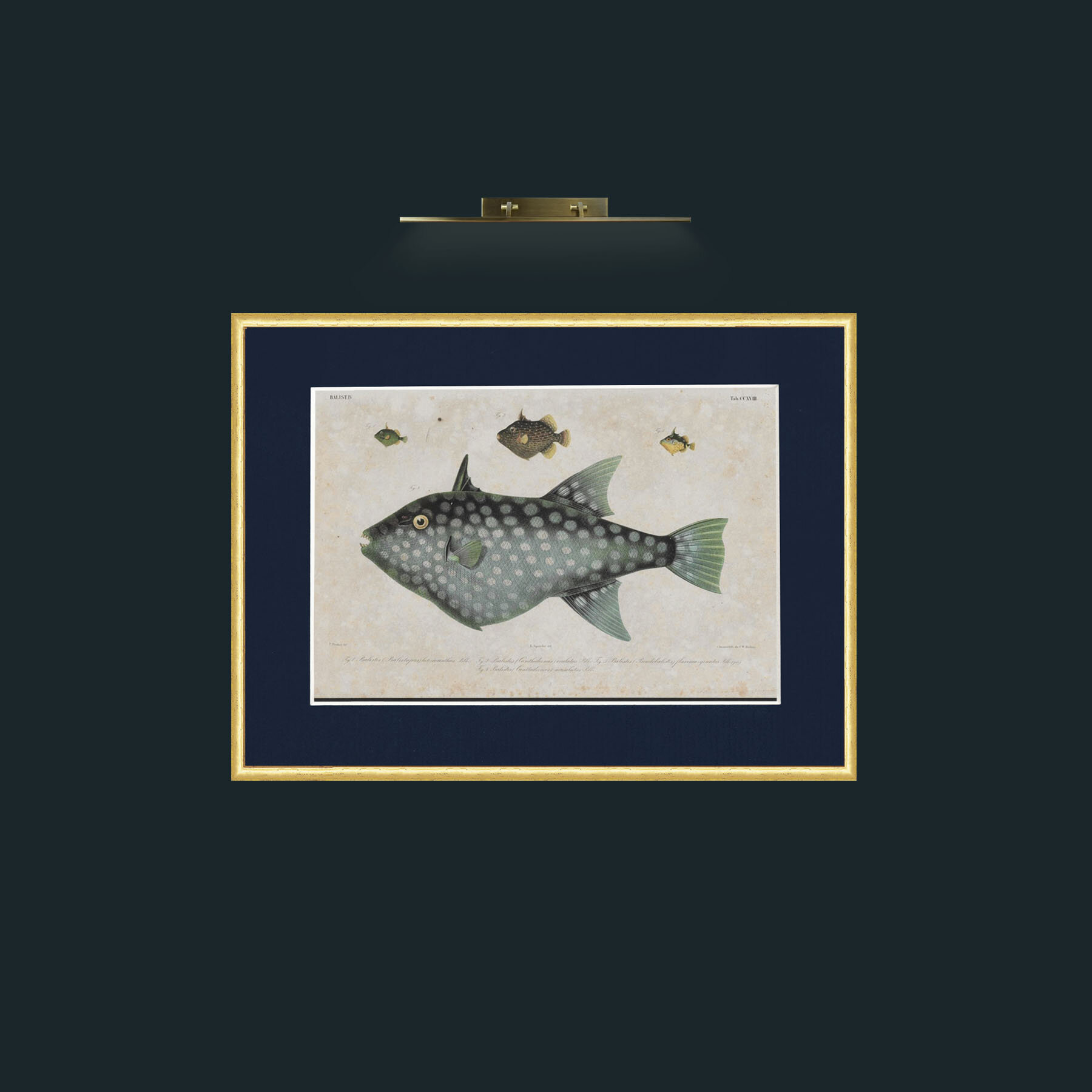 Art-Baslist-Frame-3RoundedGilt-Mount-3Blue.jpg