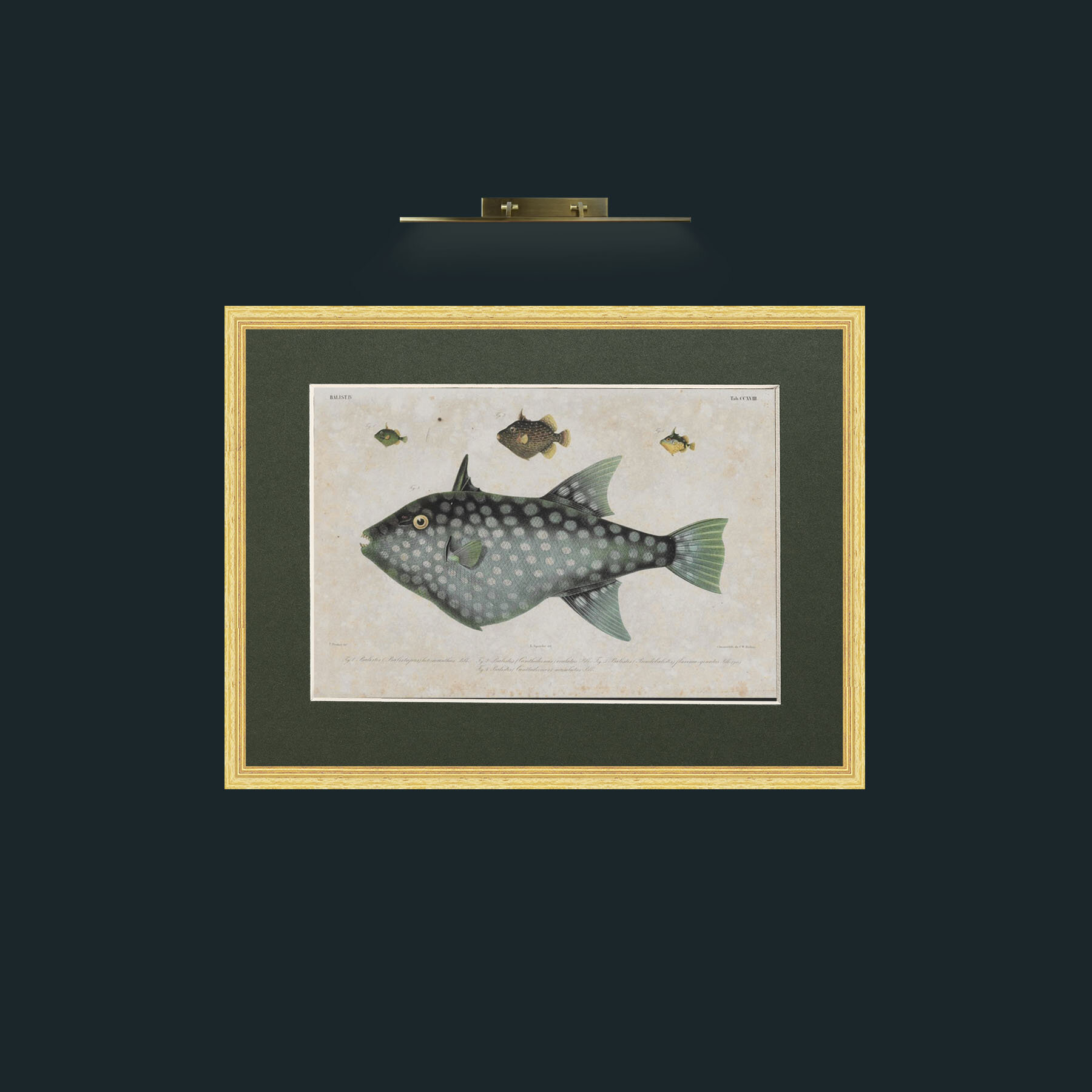 Art-Baslist-Frame-4BevelledGilt-Mount-2Green.jpg