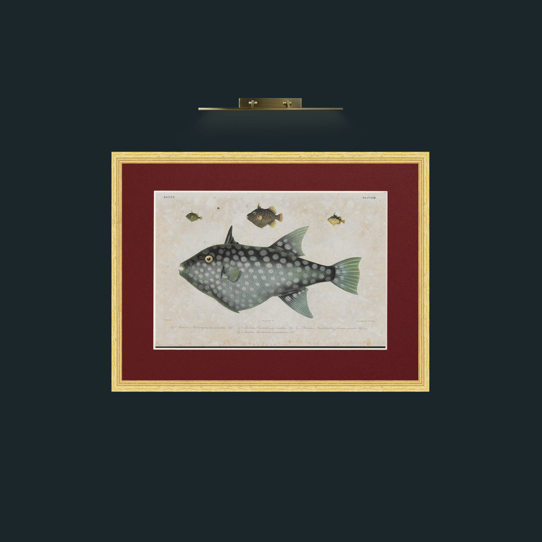 Art-Baslist-Frame-4BevelledGilt-Mount-4Red.jpg