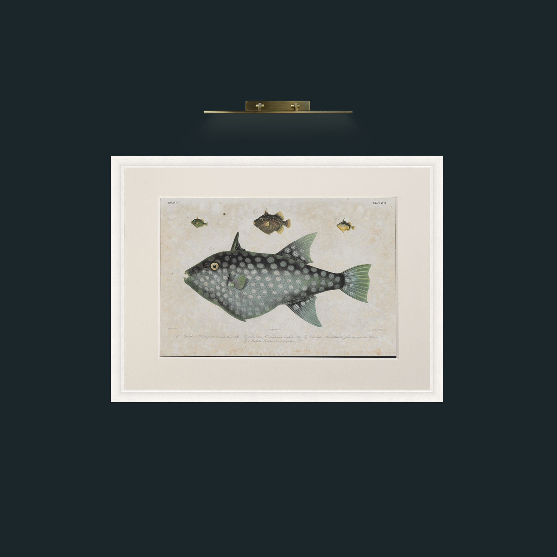 Art-Baslist-Frame-5White-Mount-1Antique.jpg