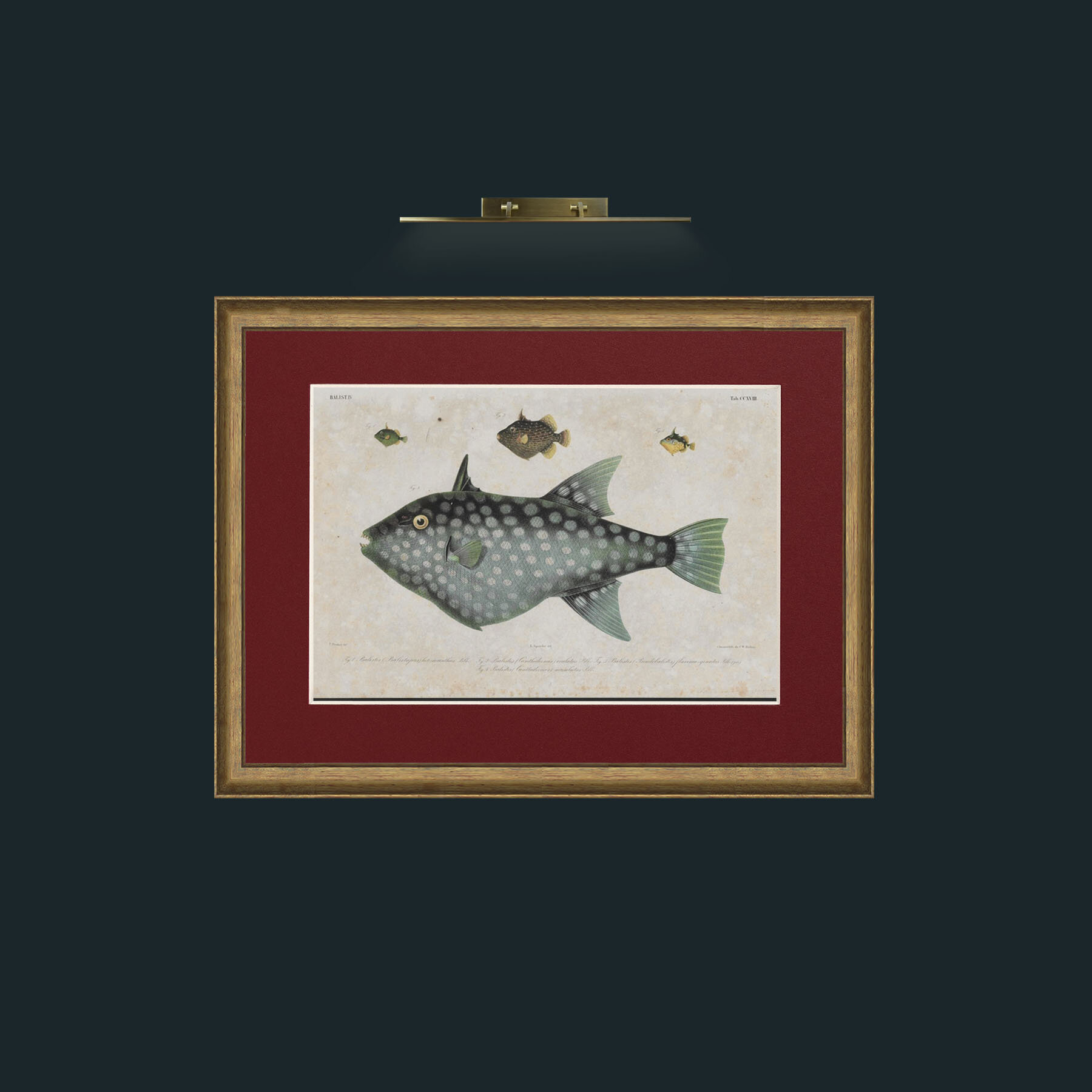 Art-Baslist-Frame-8AntiqueRedGoldGilt-Mount-4Red.jpg