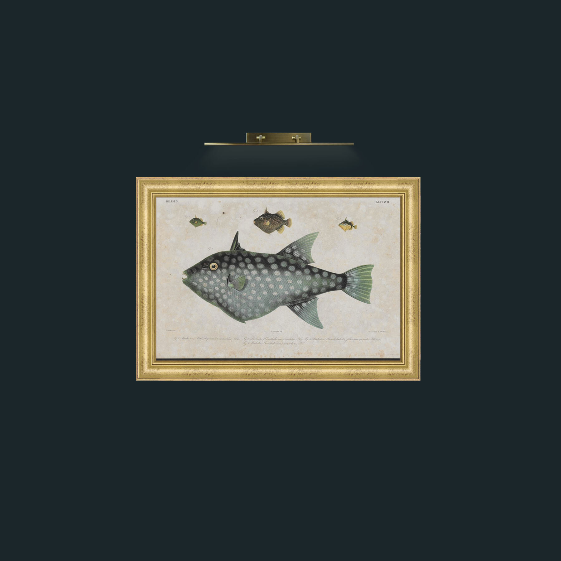 Art-Baslist-Frame-9WideGilt.jpg