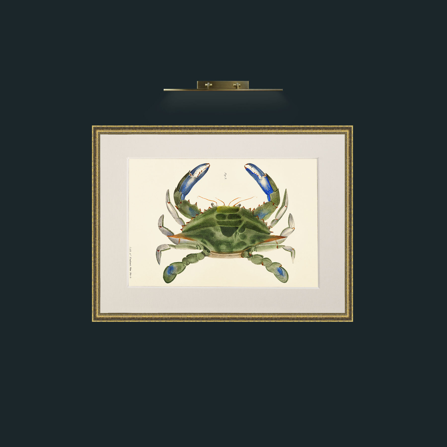 Art-Blue Crab-Frame-1TexturedGilt-Mount-1Antique.jpg