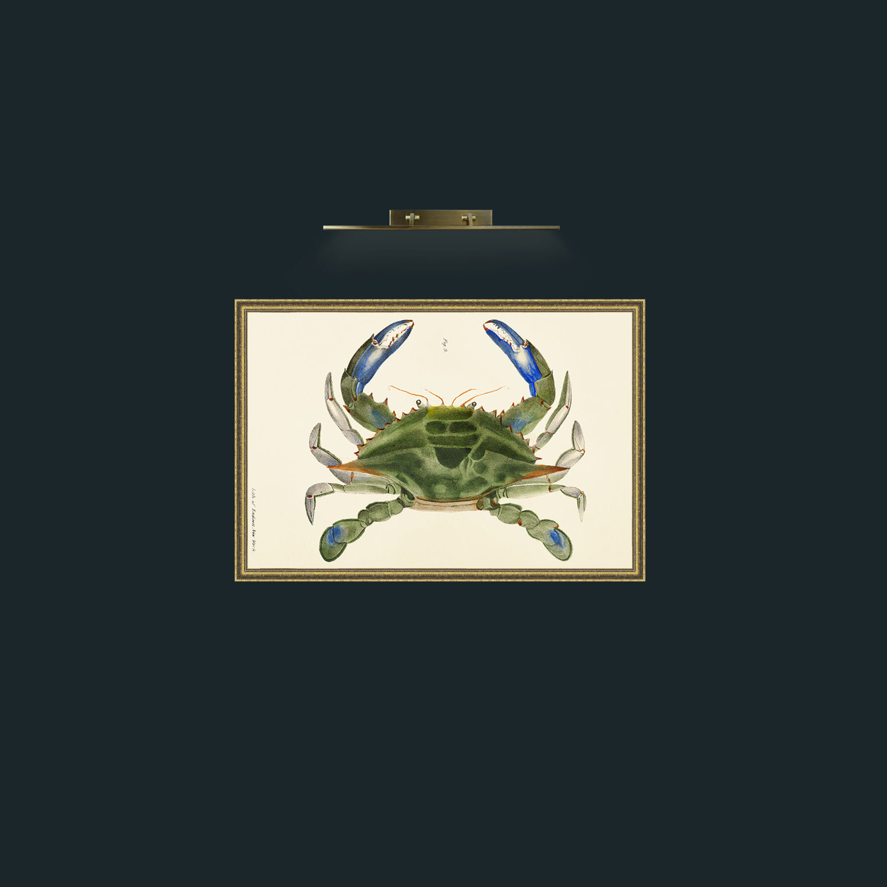 Art-Blue Crab-Frame-1GiltTextured.jpg