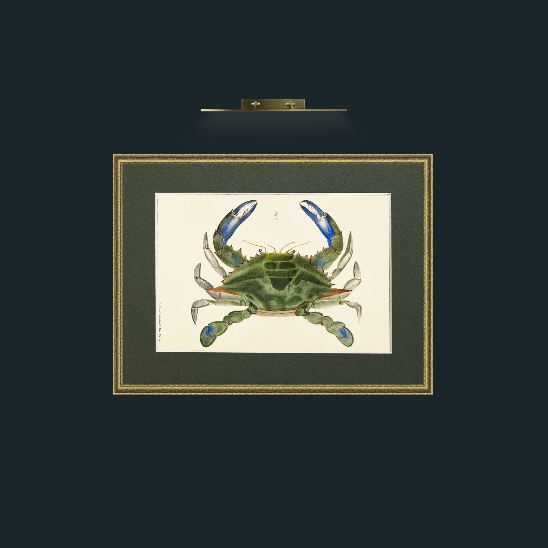 Art-Blue Crab-Frame-1TexturedGilt-Mount-2Green.jpg