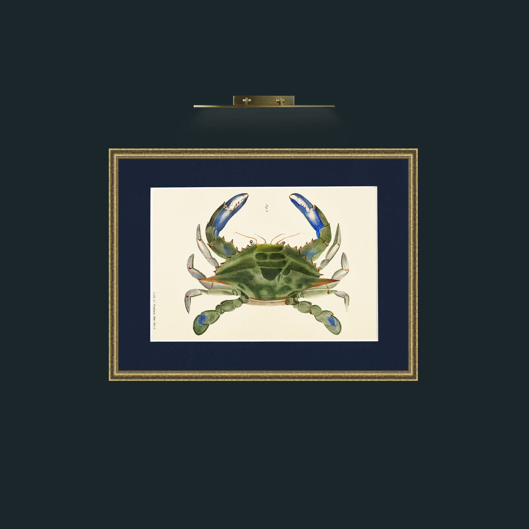 Art-Blue Crab-Frame-1TexturedGilt-Mount-3Blue.jpg