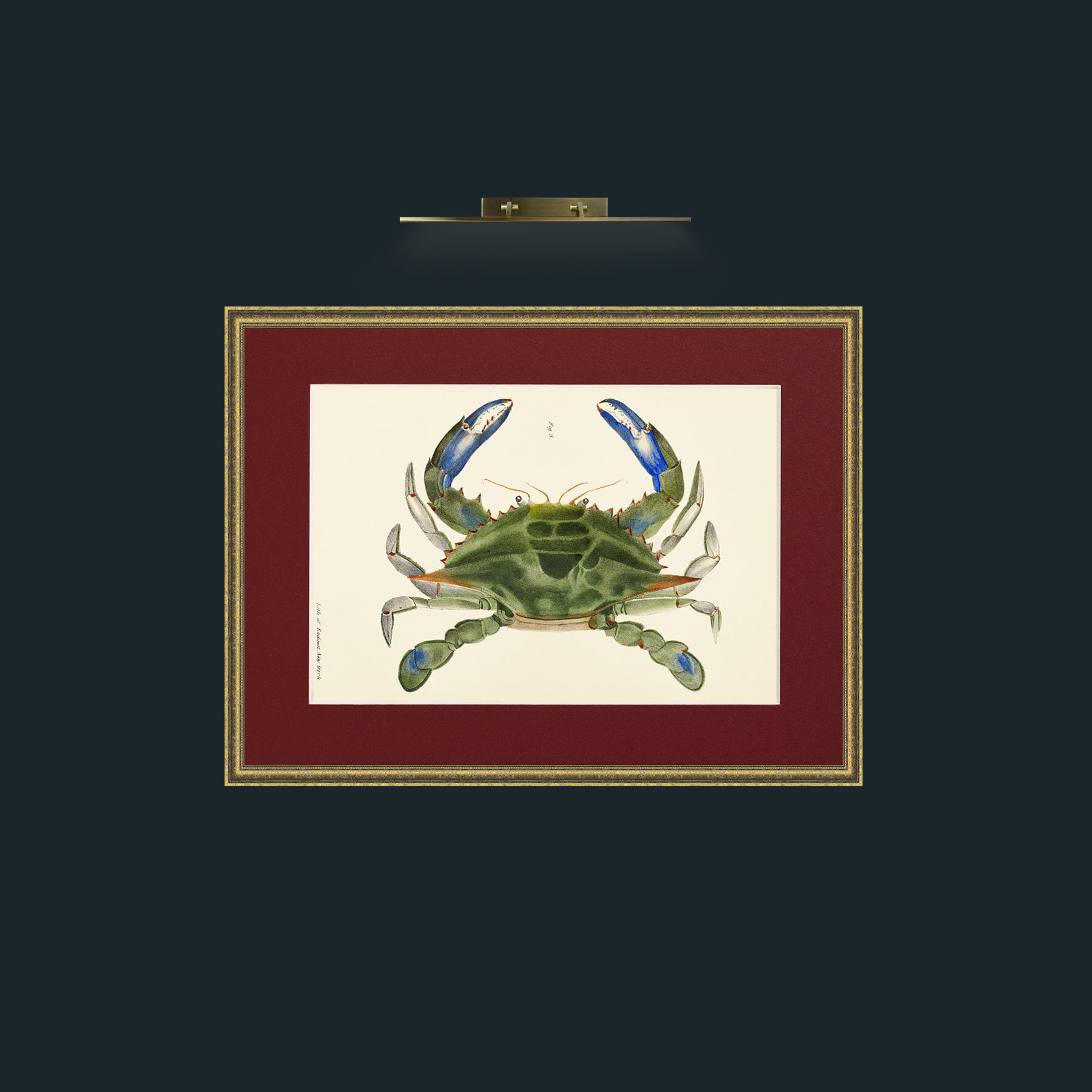 Art-Blue Crab-Frame-1TexturedGilt-Mount-4Red.jpg