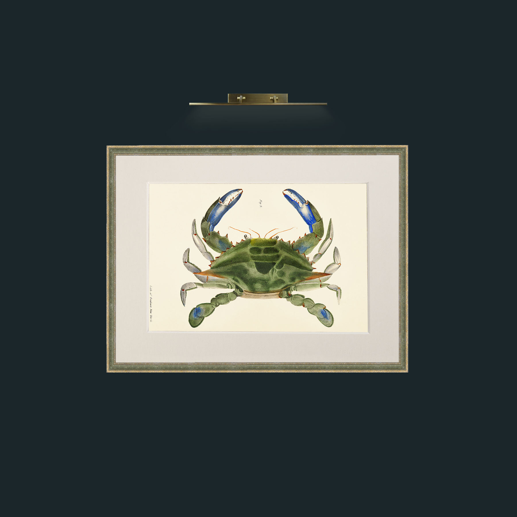 Art-Blue Crab-Frame-2GreenGiltTextured-Mount-1Antique.jpg