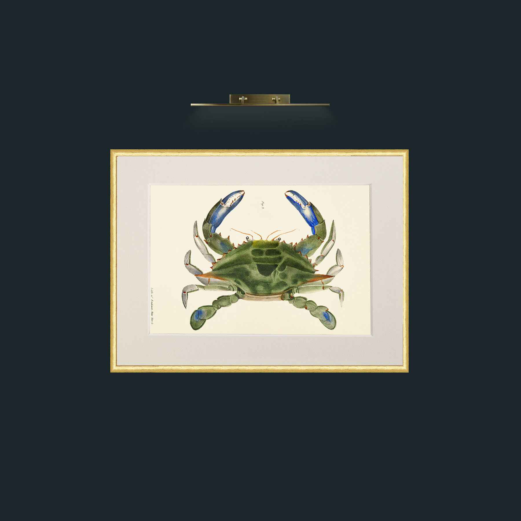Art-Blue Crab-Frame-3RoundedGilt-Mount-1Antique.jpg