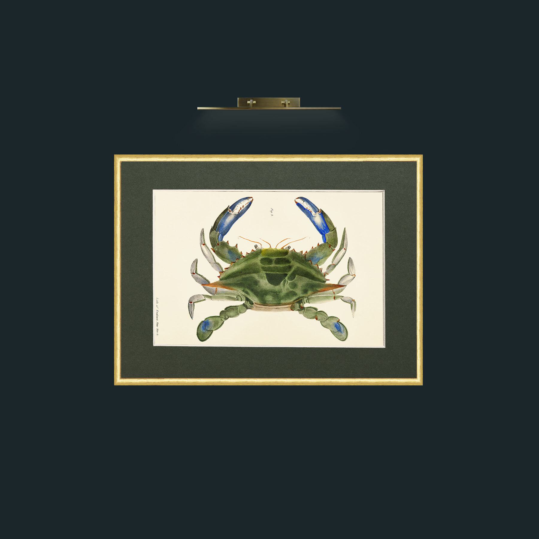 Art-Blue Crab-Frame-3RoundedGilt-Mount-2Green.jpg