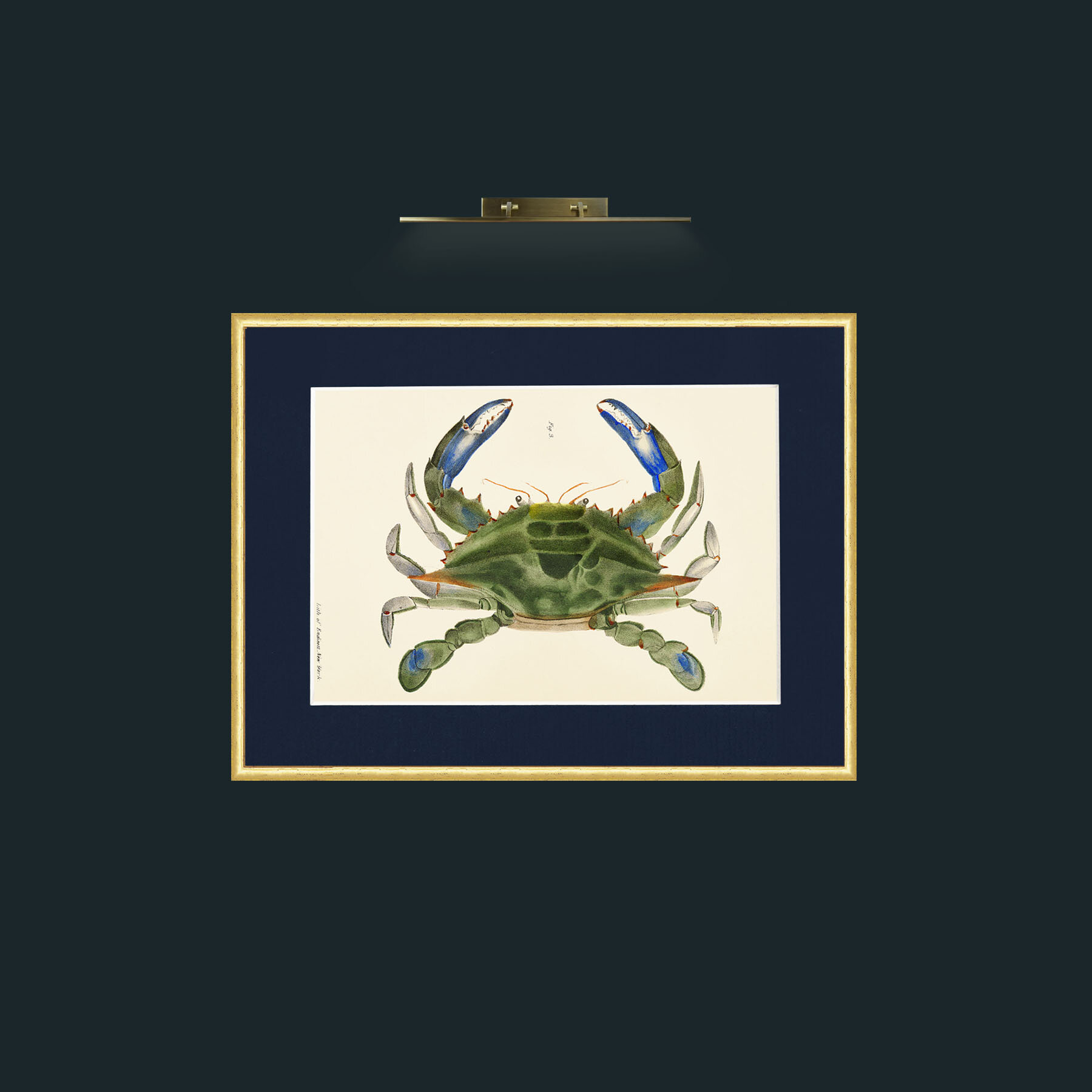 Art-Blue Crab-Frame-3RoundedGilt-Mount-3Blue.jpg