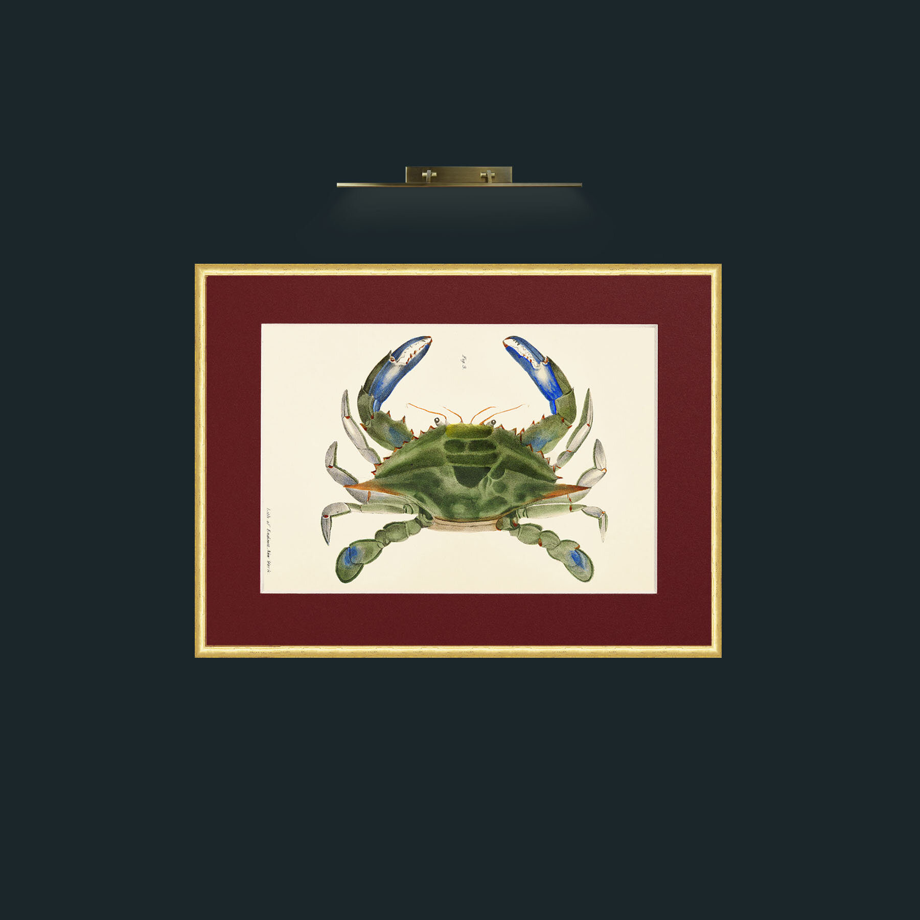 Art-Blue Crab-Frame-3RoundedGilt-Mount-4Red.jpg