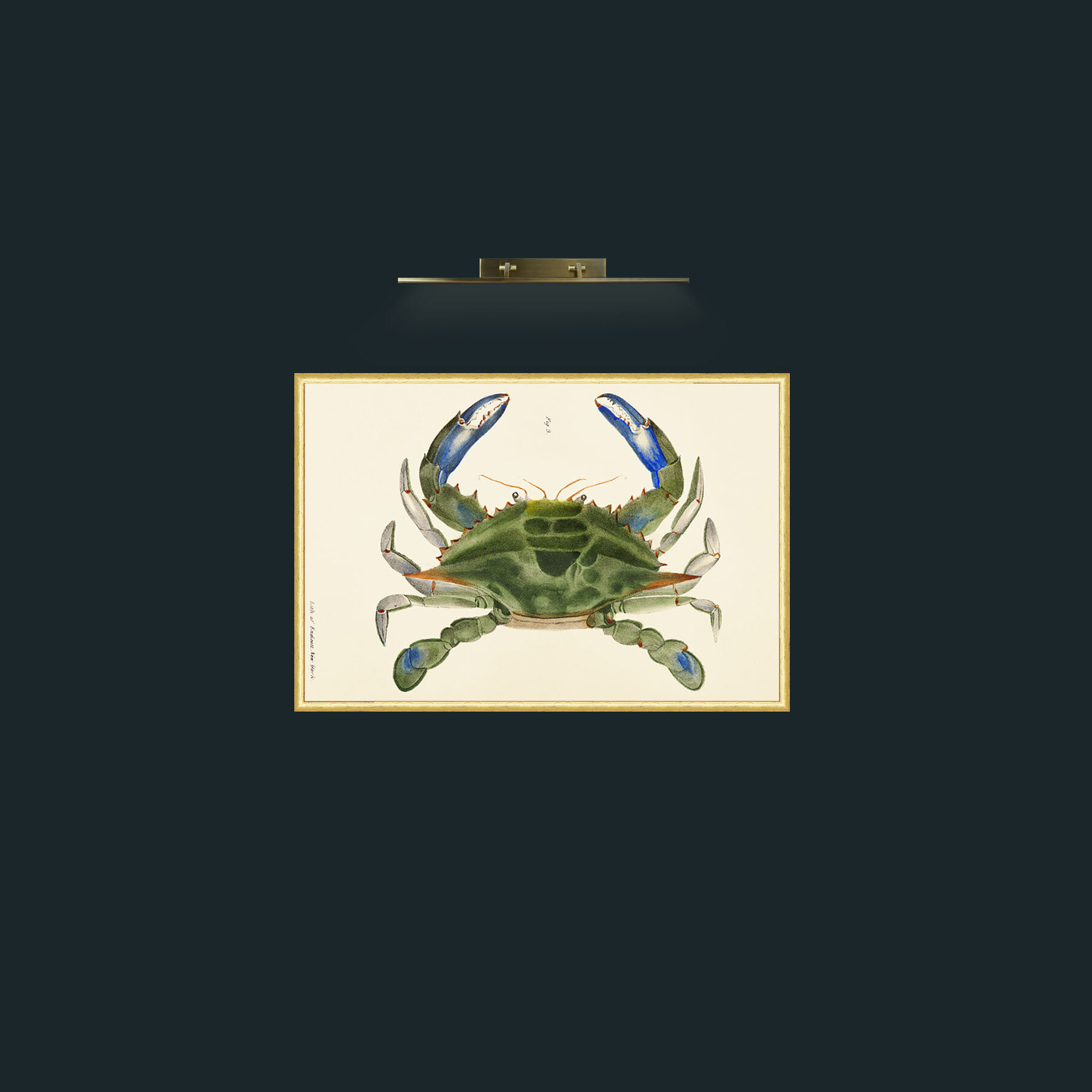 Art-Blue Crab-Frame-3RoundedGilt.jpg