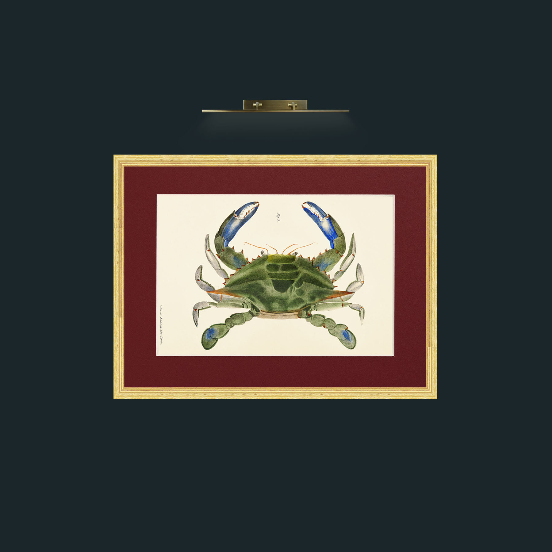 Art-Blue Crab-Frame-4BevelledGilt-Mount-4Red.jpg
