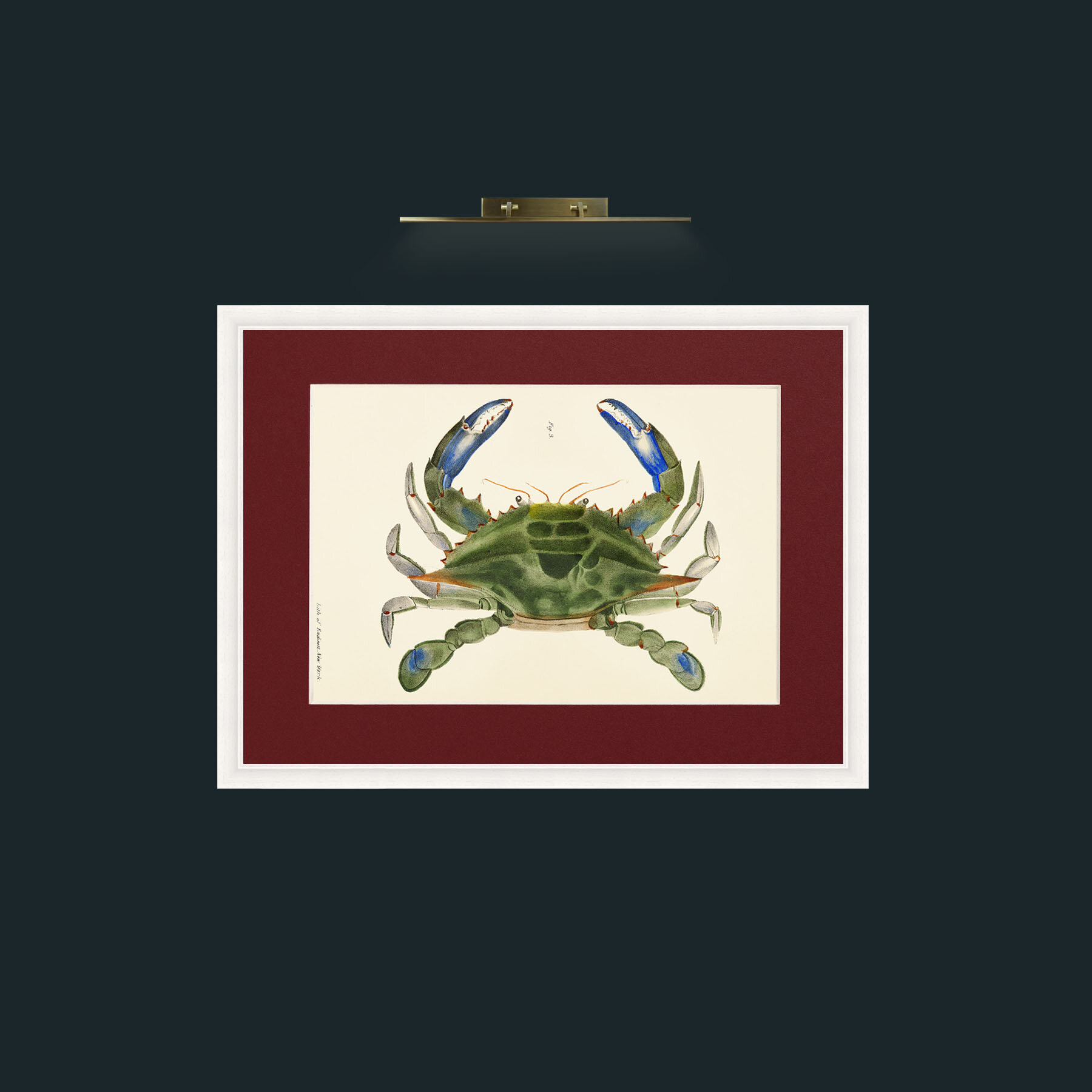 Art-Blue Crab-Frame-5White-Mount-4Red.jpg