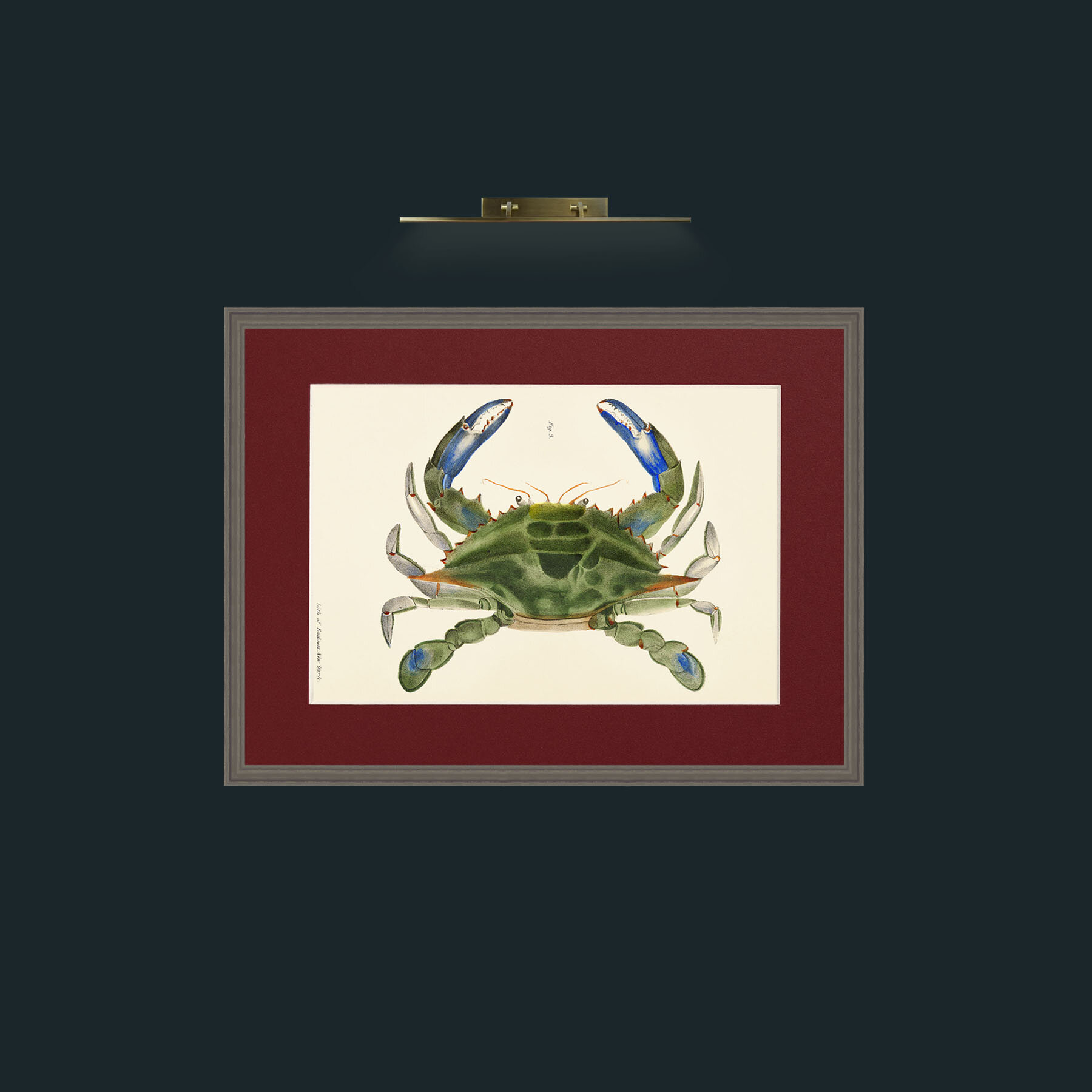 Art-Blue Crab-Frame-6Grey-Mount-4Red.jpg
