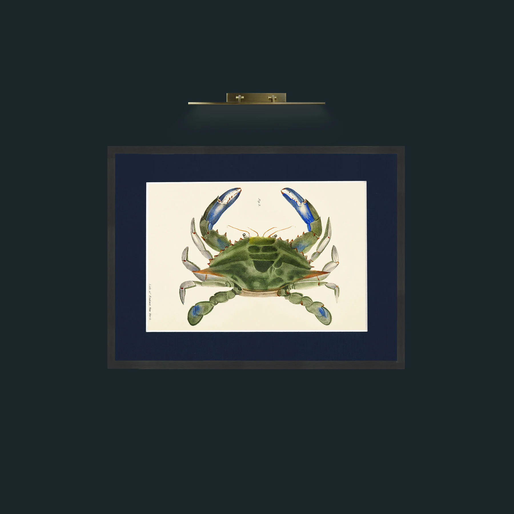 Art-Blue Crab-Frame-7Black-Mount-3Blue.jpg