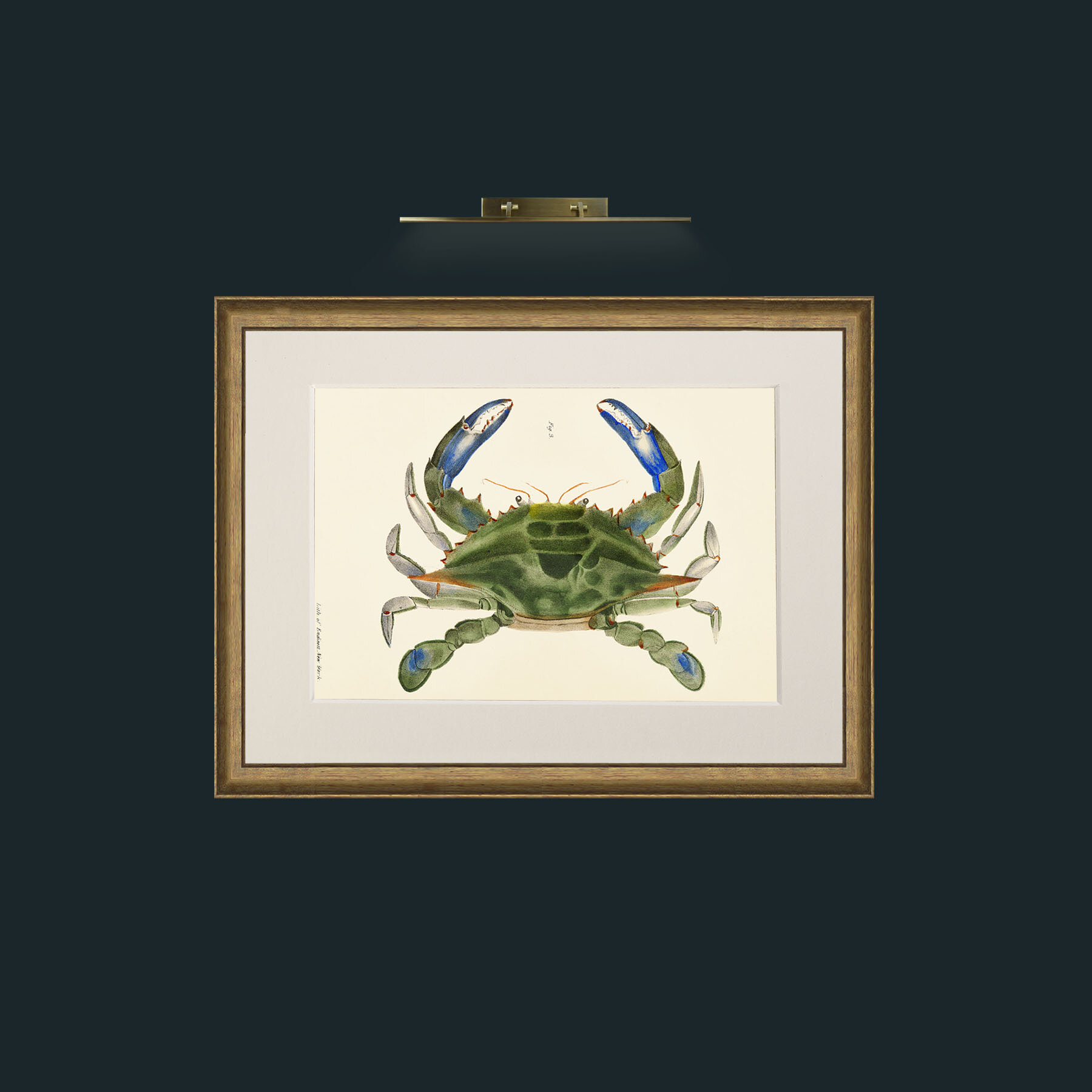 Art-Blue Crab-Frame-8AntiqueRedGoldGilt-Mount-1Antique.jpg