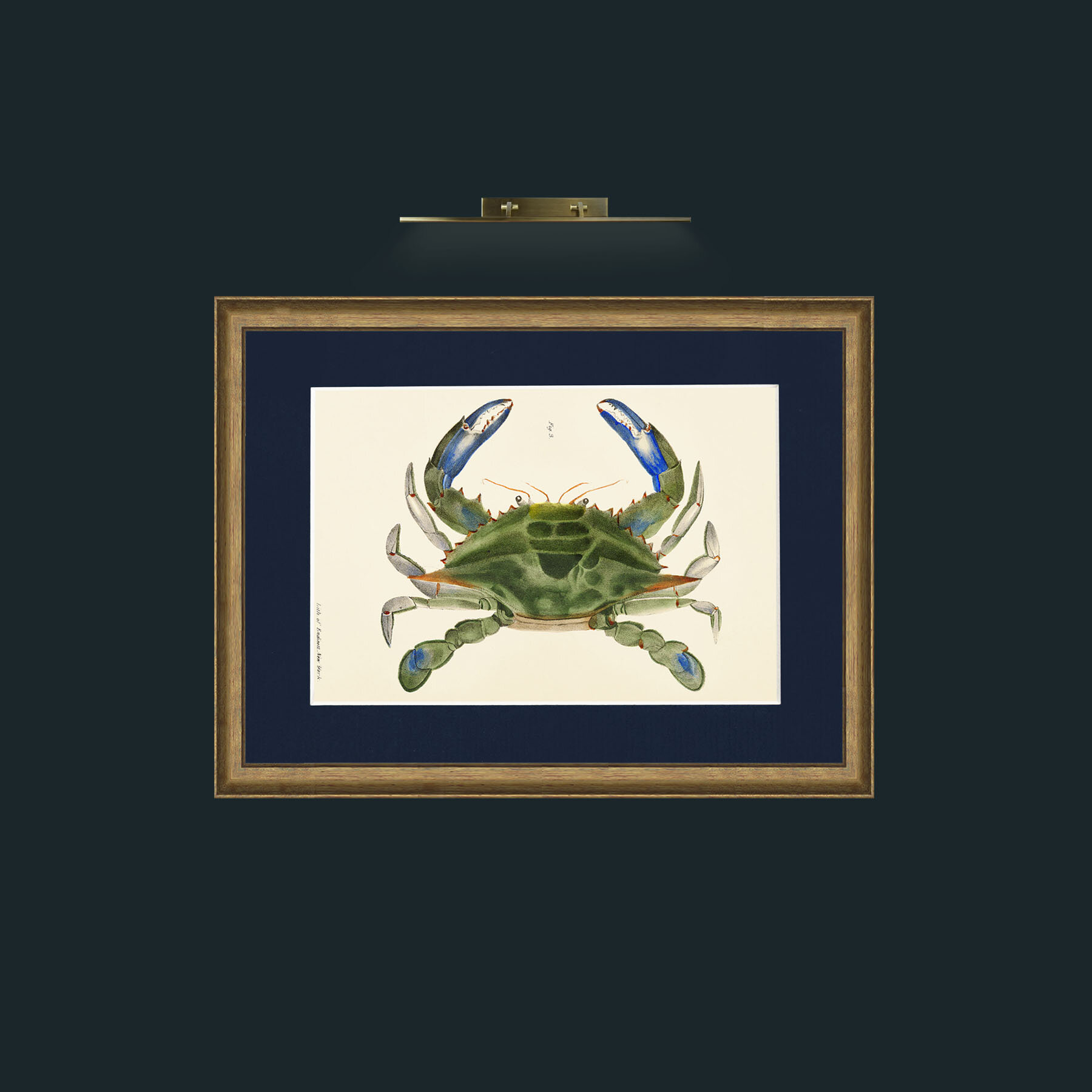 Art-Blue Crab-Frame-8AntiqueRedGoldGilt-Mount-3Blue.jpg