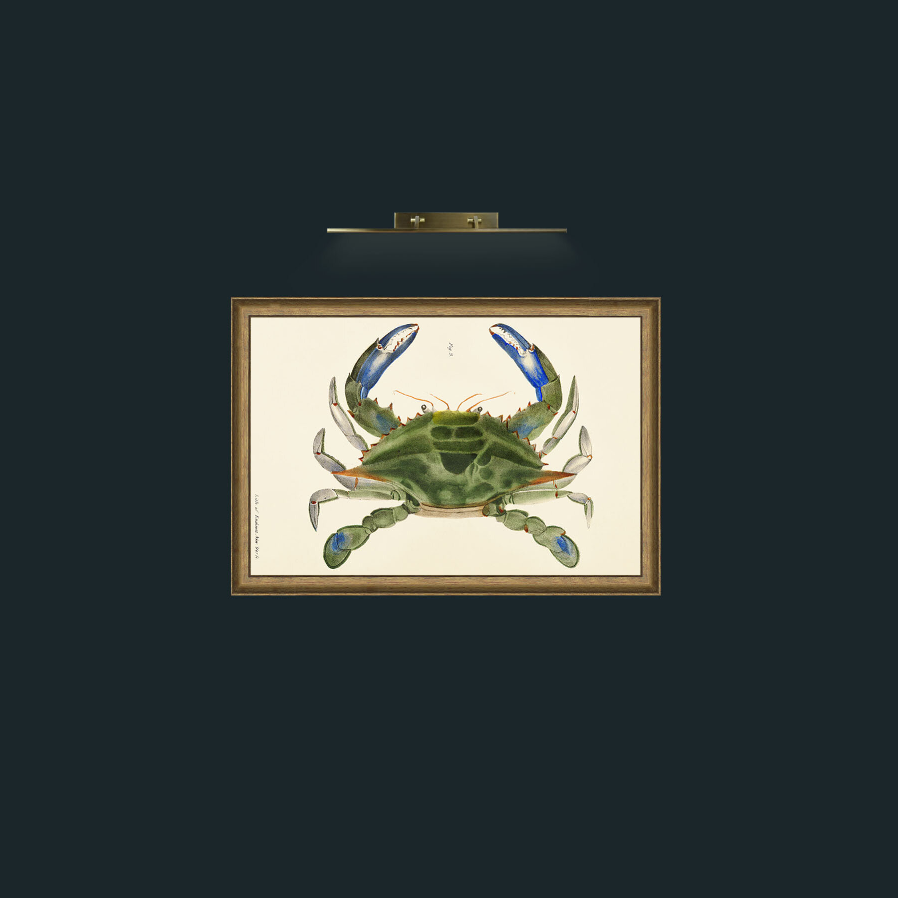 Art-Blue Crab-Frame-8RedGreenGilt.jpg