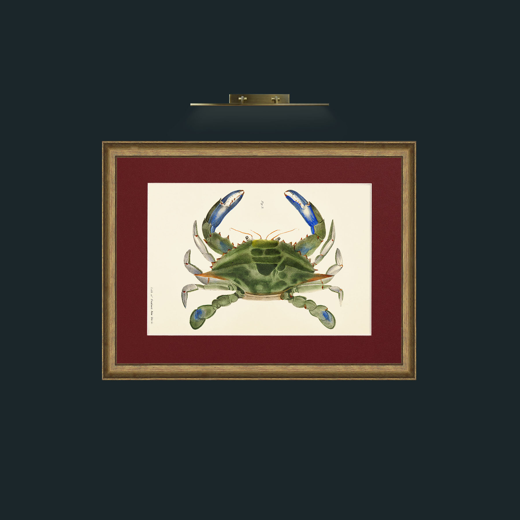 Art-Blue Crab-Frame-8AntiqueRedGoldGilt-Mount-4Red.jpg
