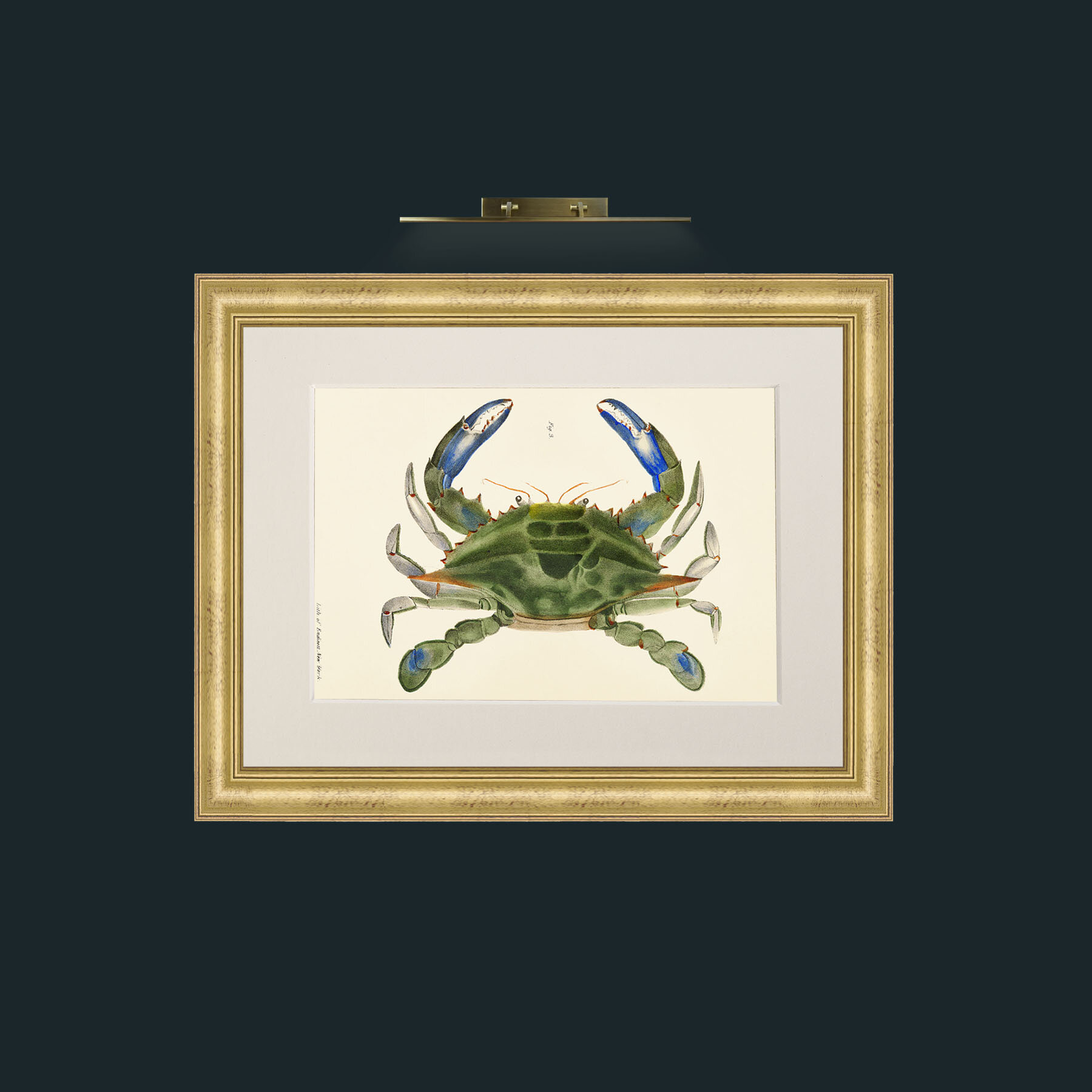 Art-Blue Crab-Frame-9WideGilt-Mount-1Antique.jpg