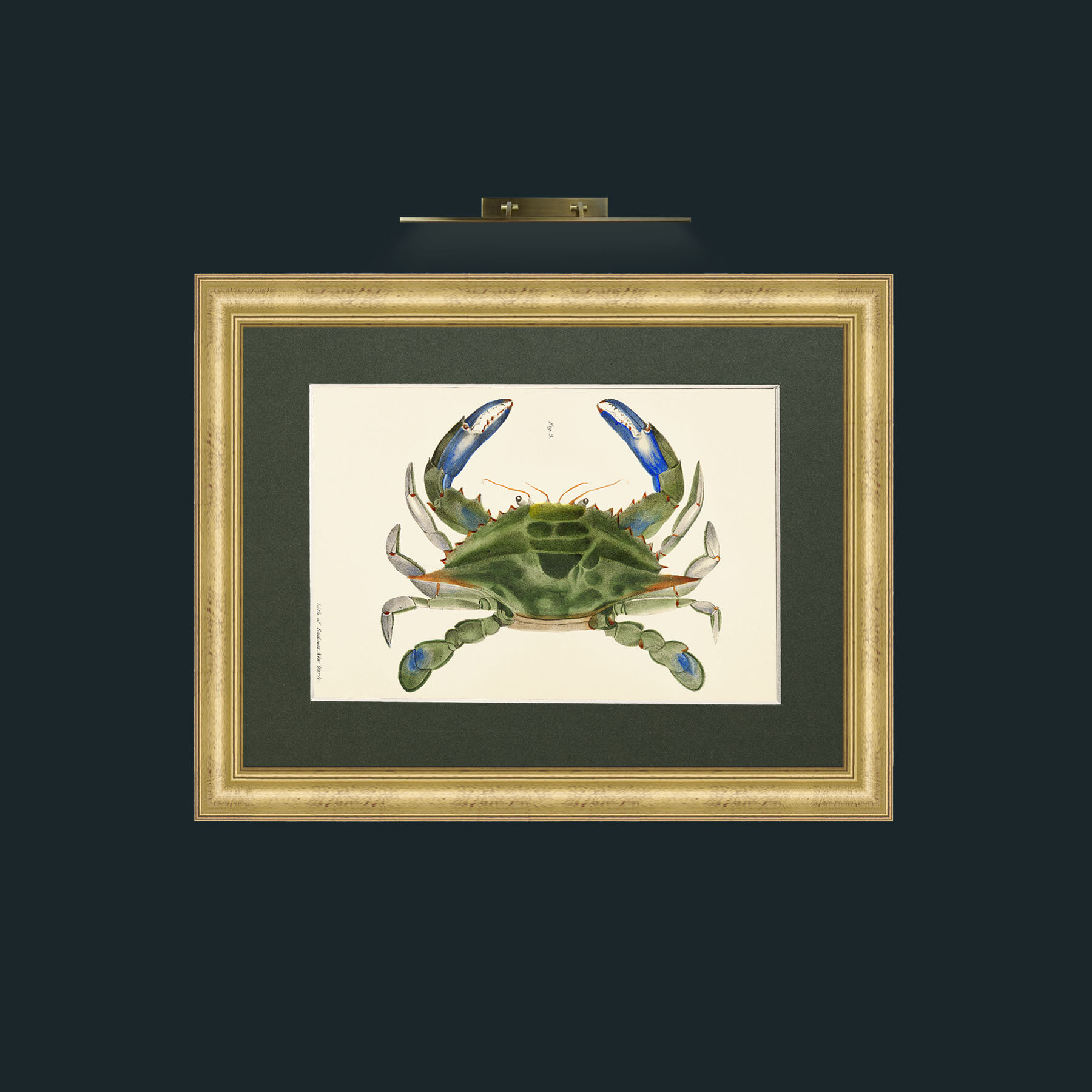 Art-Blue Crab-Frame-9WideGilt-Mount-2Green.jpg