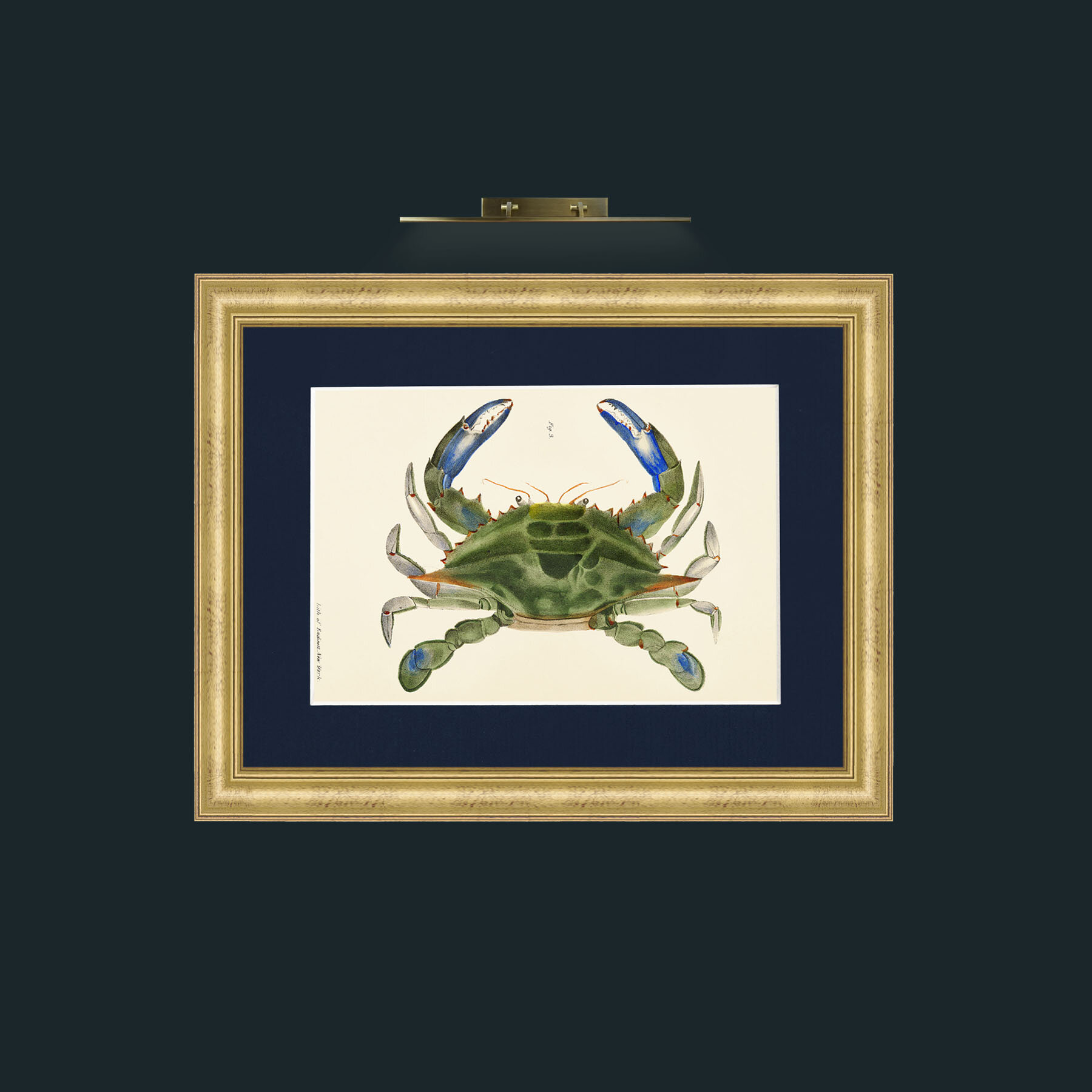 Art-Blue Crab-Frame-9WideGilt-Mount-3Blue.jpg