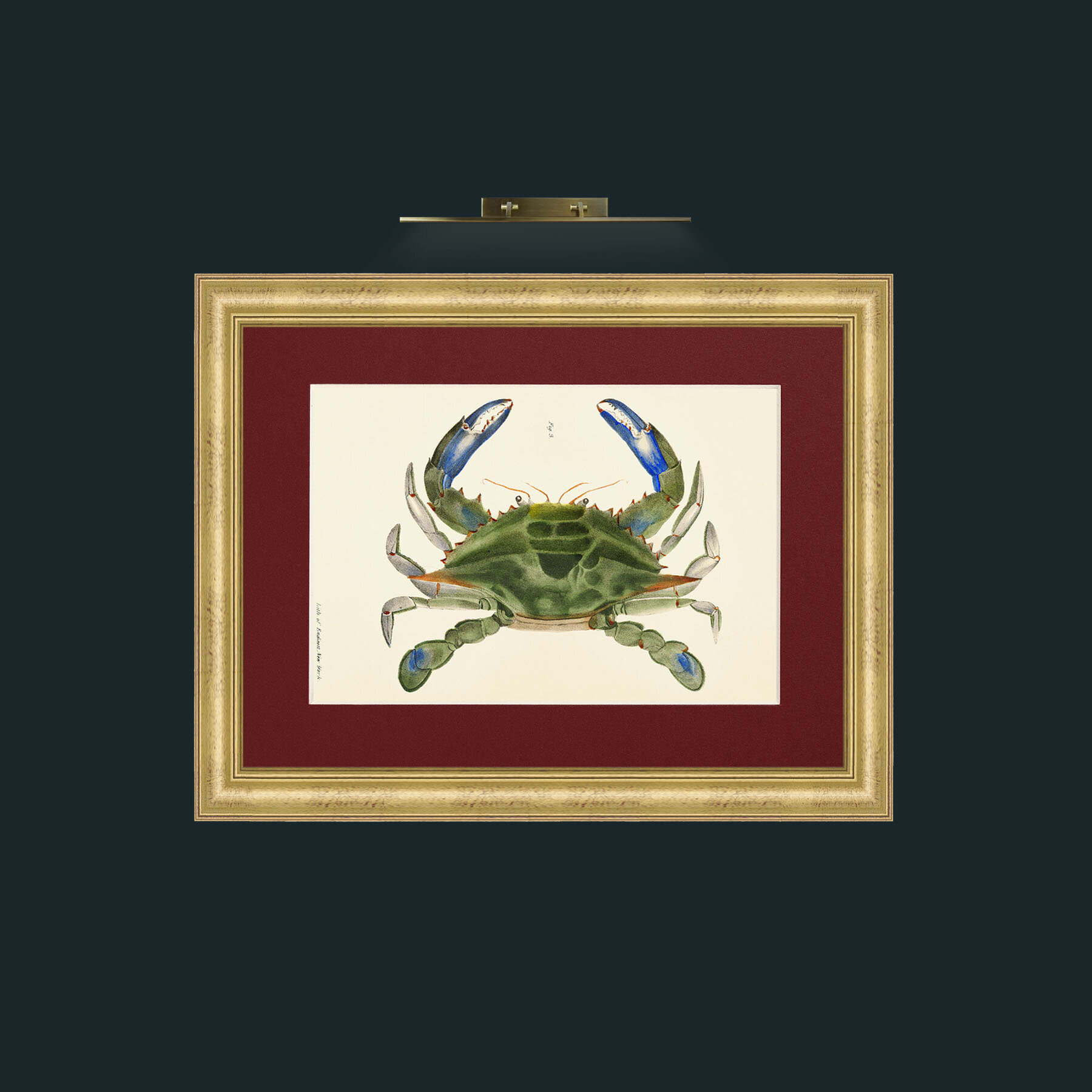 Art-Blue Crab-Frame-9WideGilt-Mount-4Red.jpg