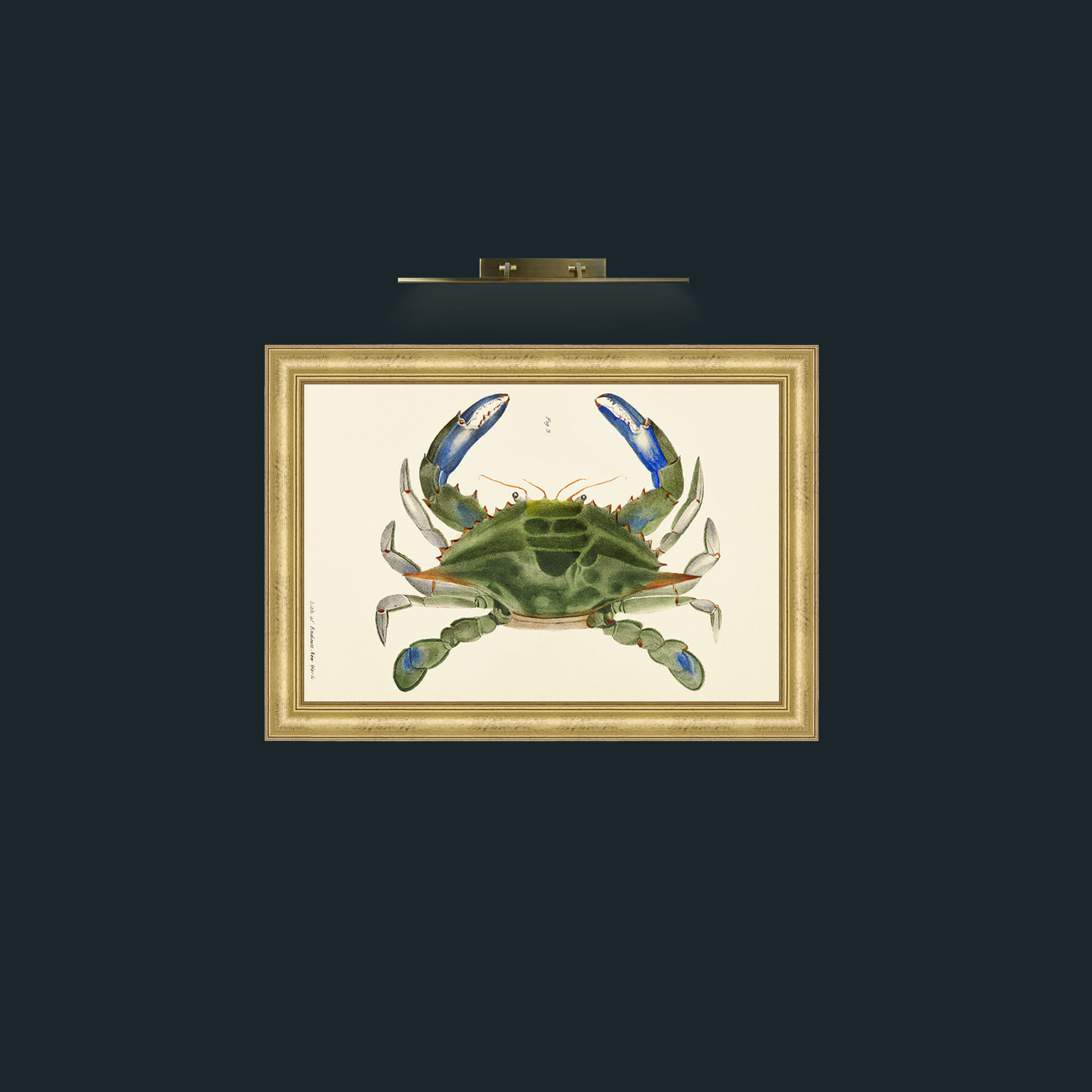 Art-Blue Crab-Frame-9WideGilt.jpg