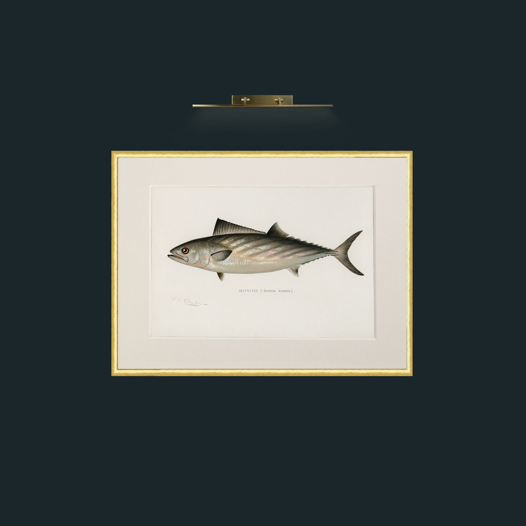 Art-Bonito-Frame-3RoundedGilt-Mount-1Antique.jpg