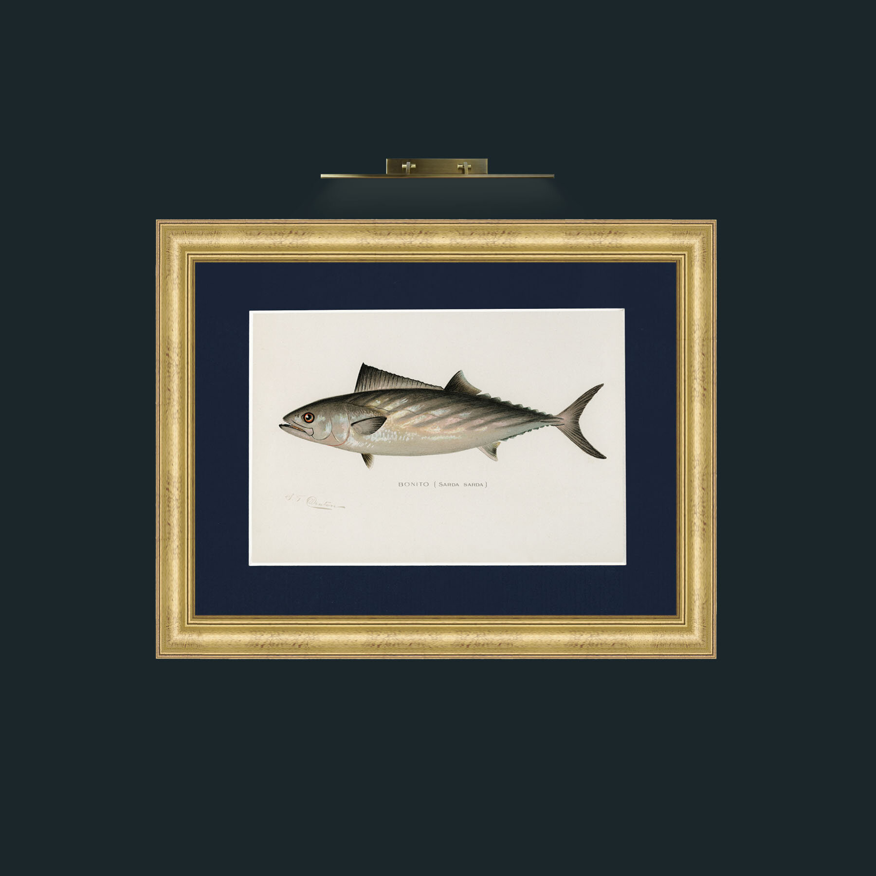 Art-Bonito-Frame-9WideGilt-Mount-3Blue.jpg