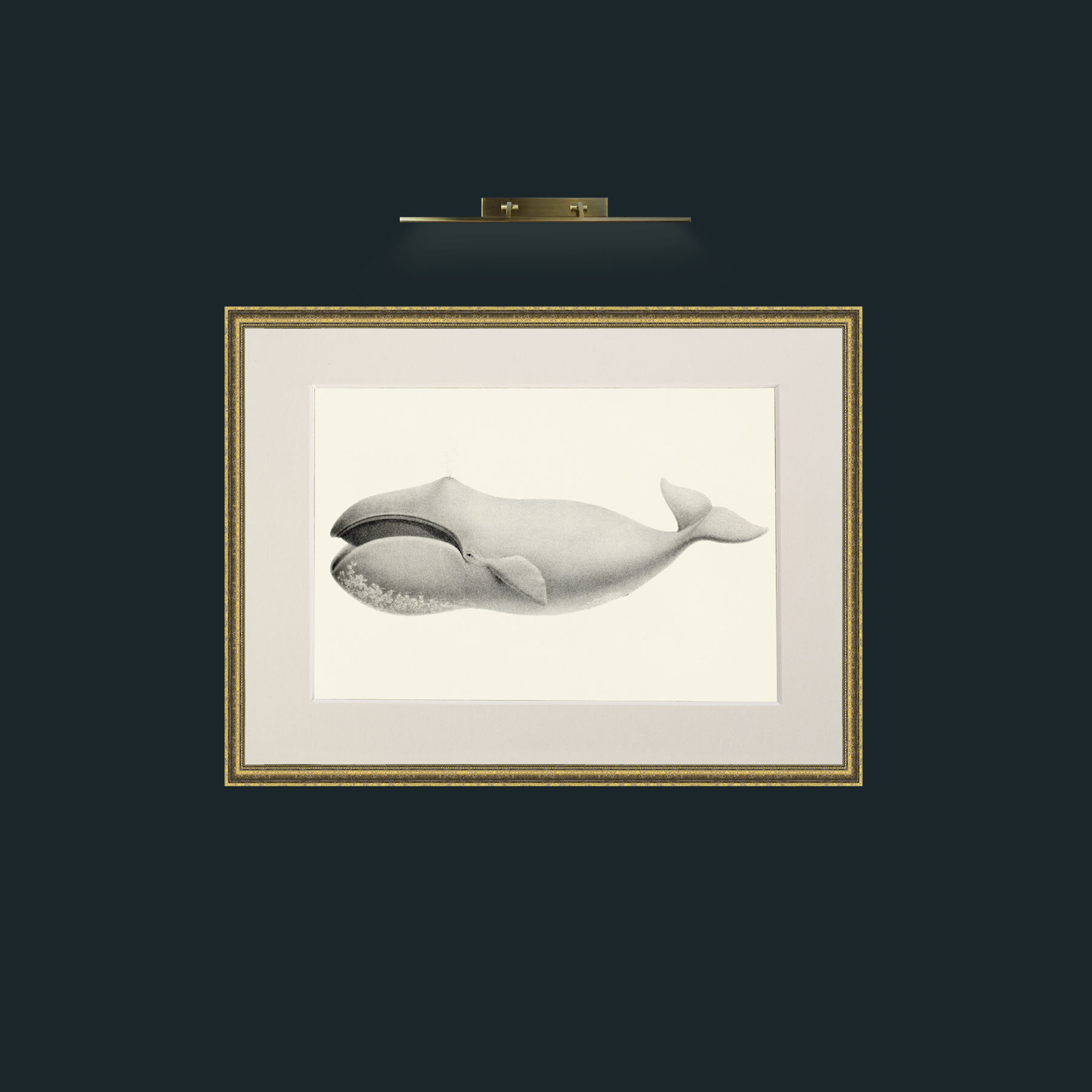 Art-Bowhead Whale-Frame-1TexturedGilt-Mount-1Antique.jpg
